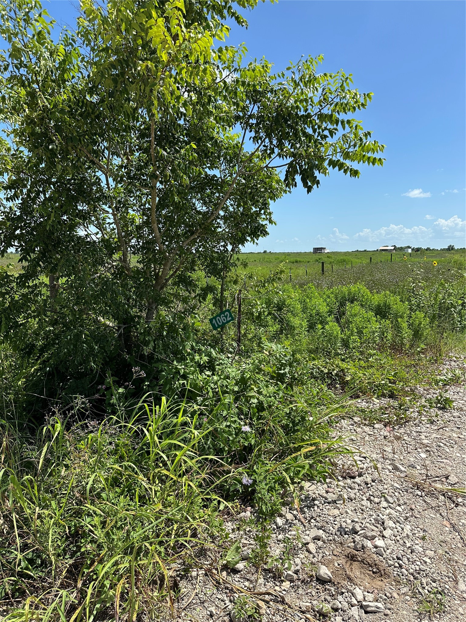 Tbd Beal Road Property Photo 5