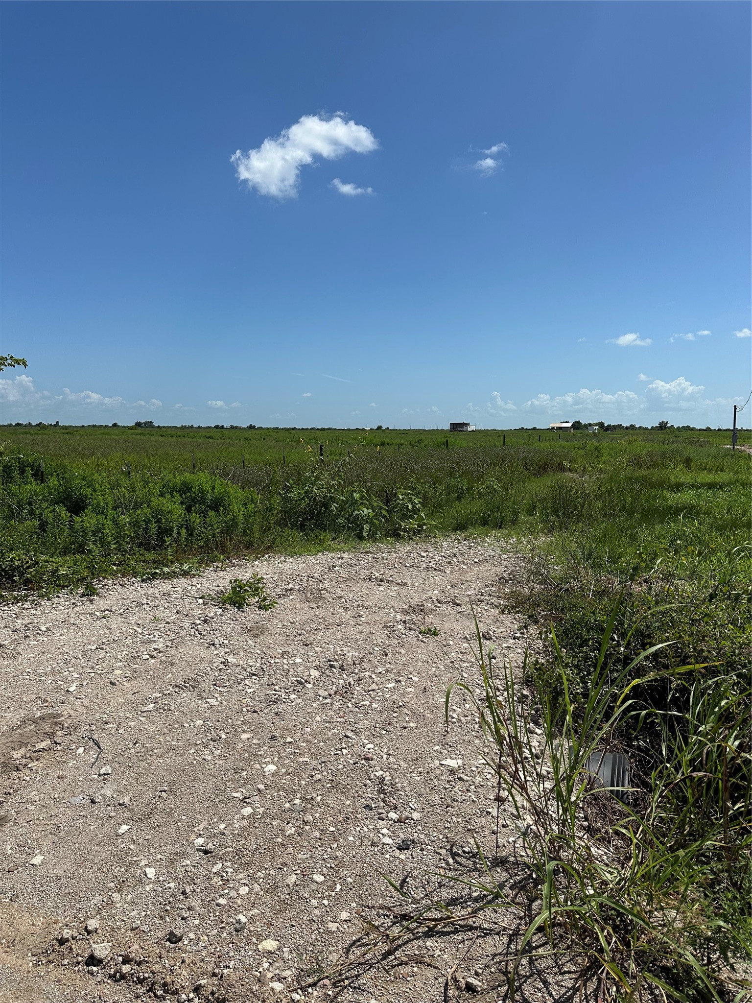 Tbd Beal Road Property Photo 6