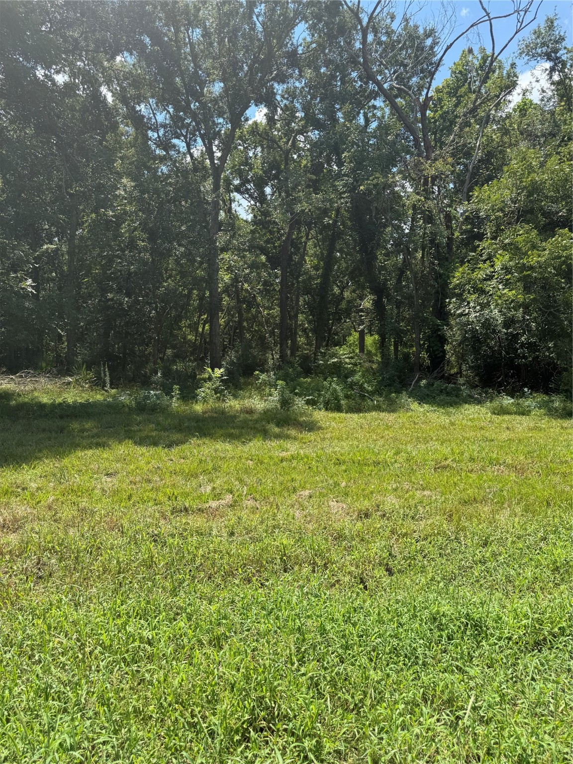 652 Pony Trail Property Photo 2