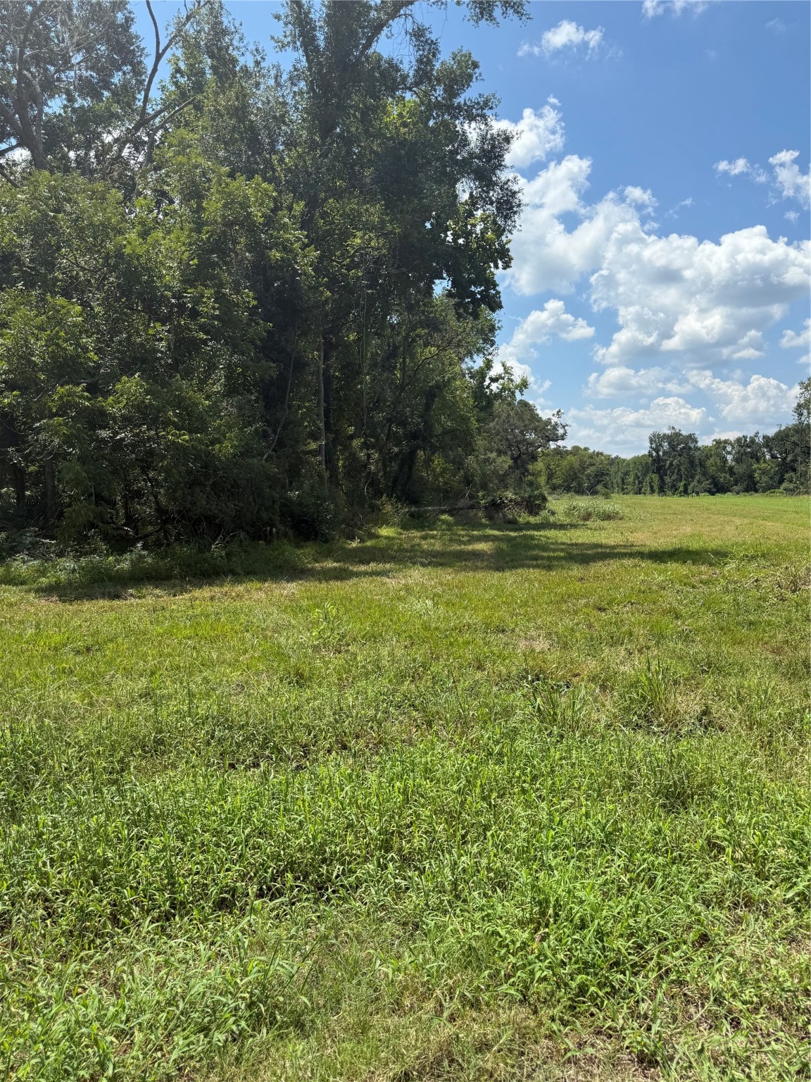 652 Pony Trail Property Photo 3