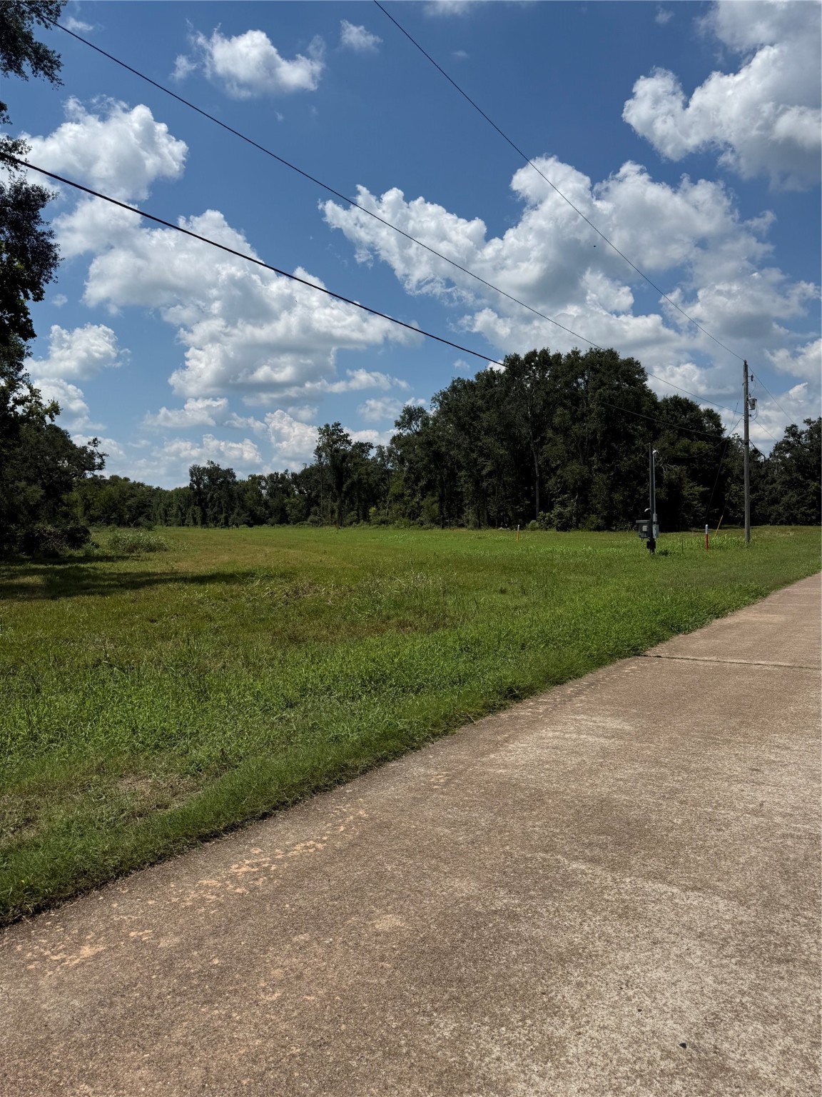 652 Pony Trail Property Photo 4