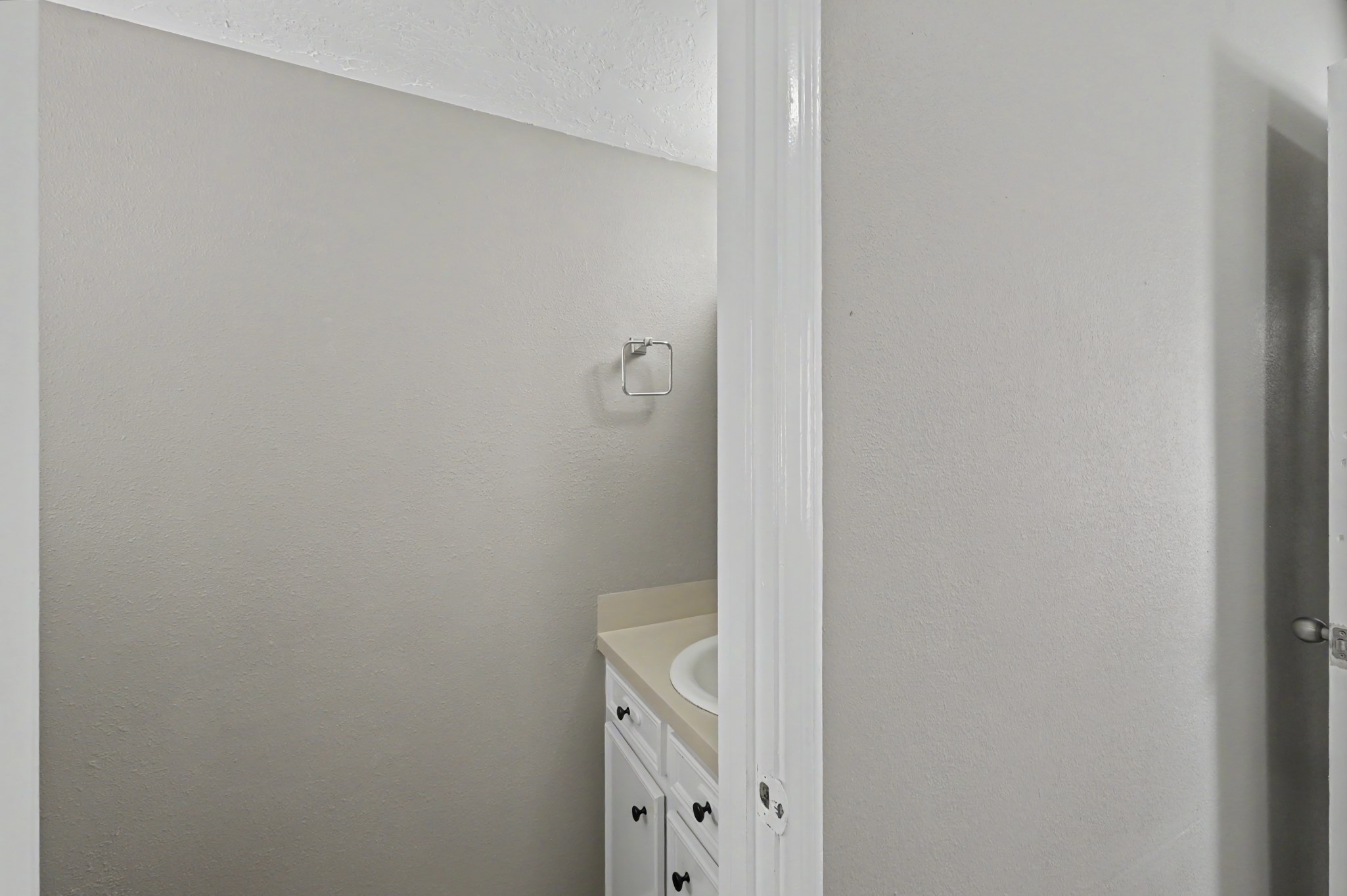 24915 Butterwick Drive Property Photo 12