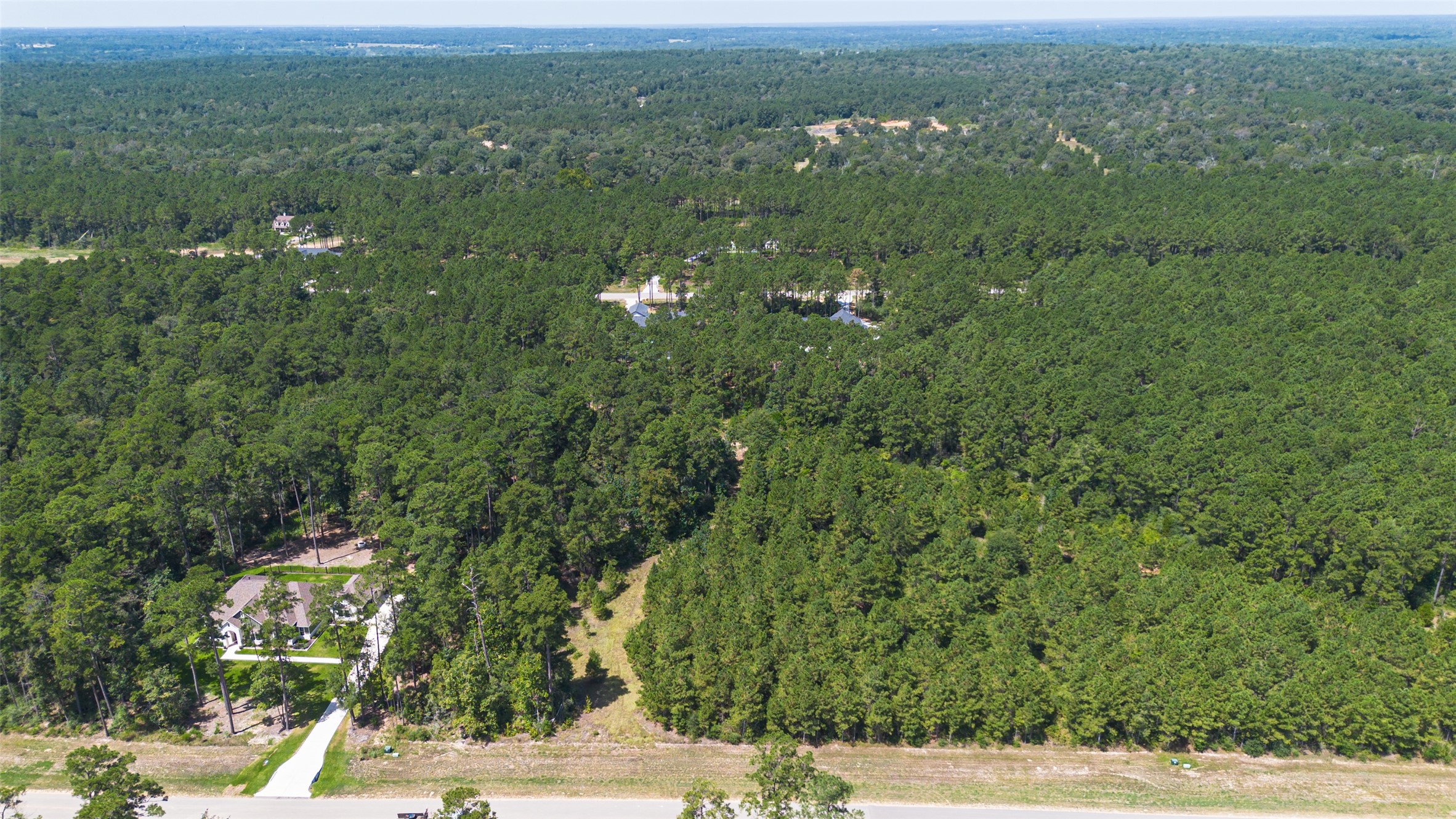 15881 Wood Grove Way Property Photo 3