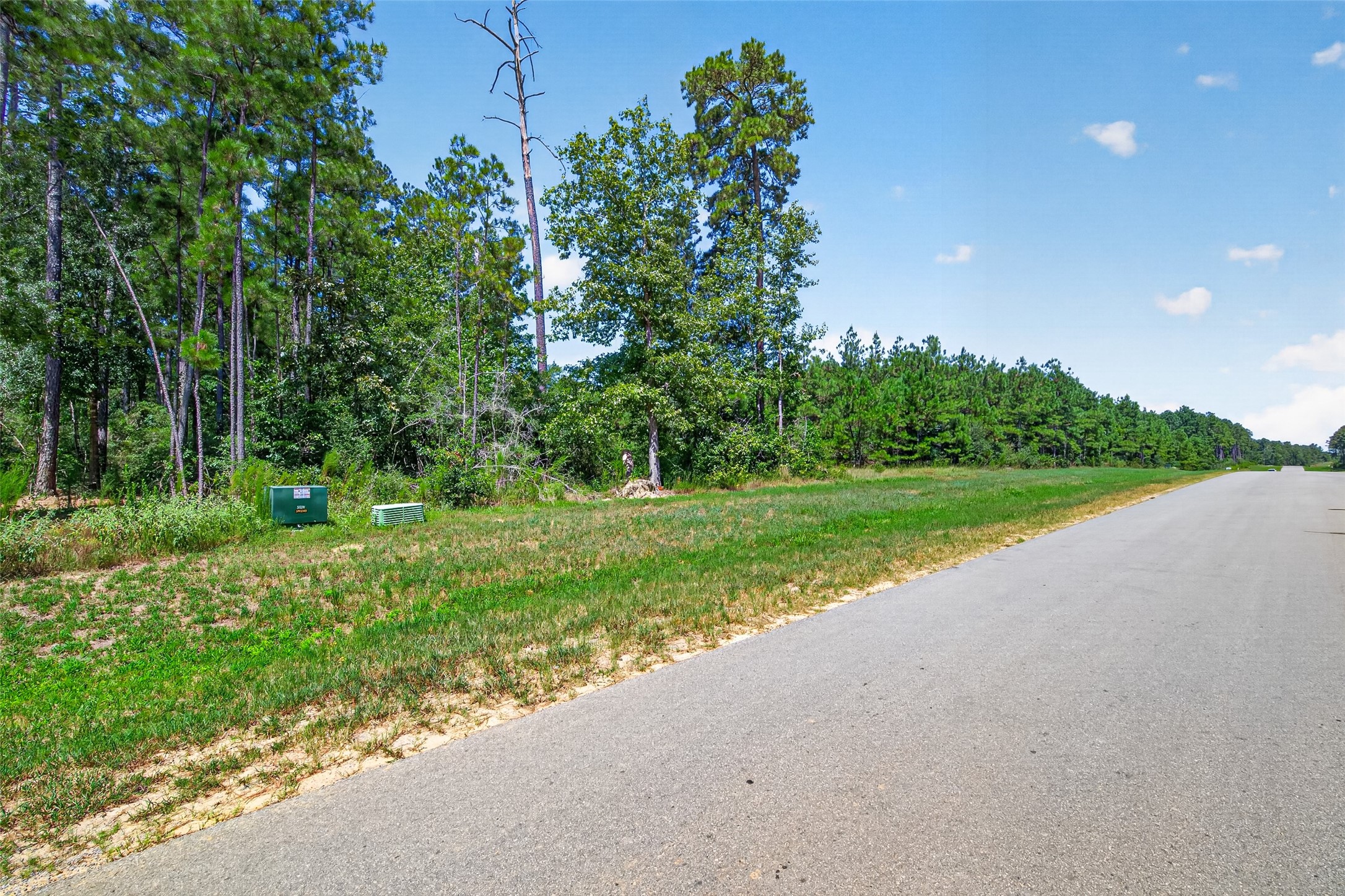 15881 Wood Grove Way Property Photo 6