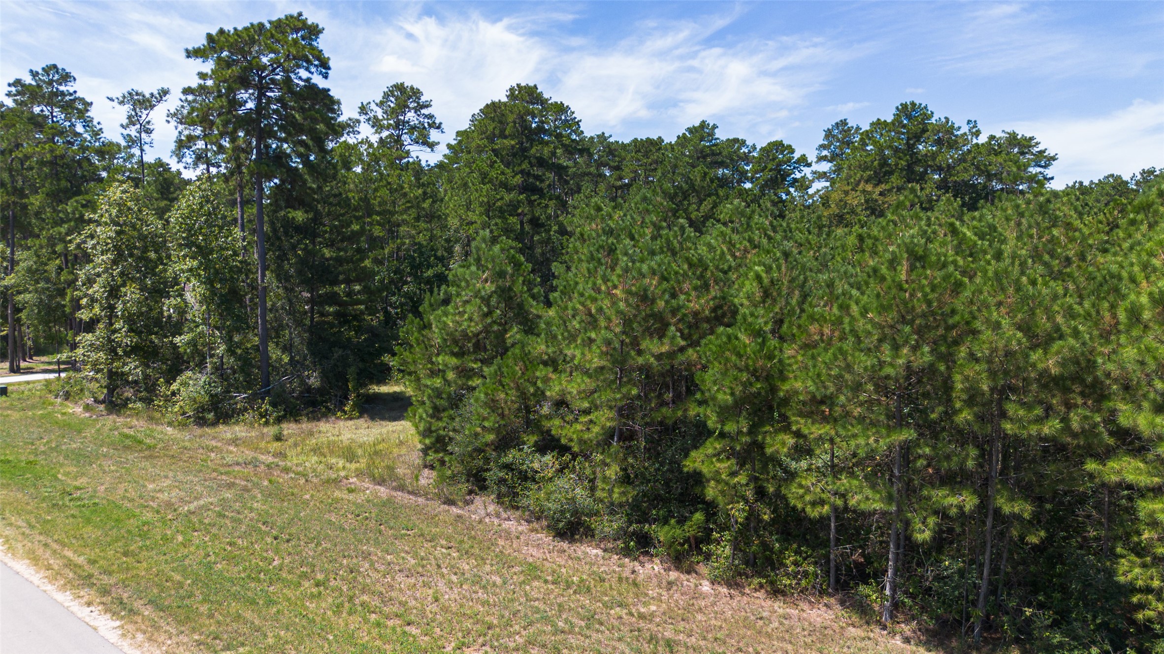 15881 Wood Grove Way Property Photo 9