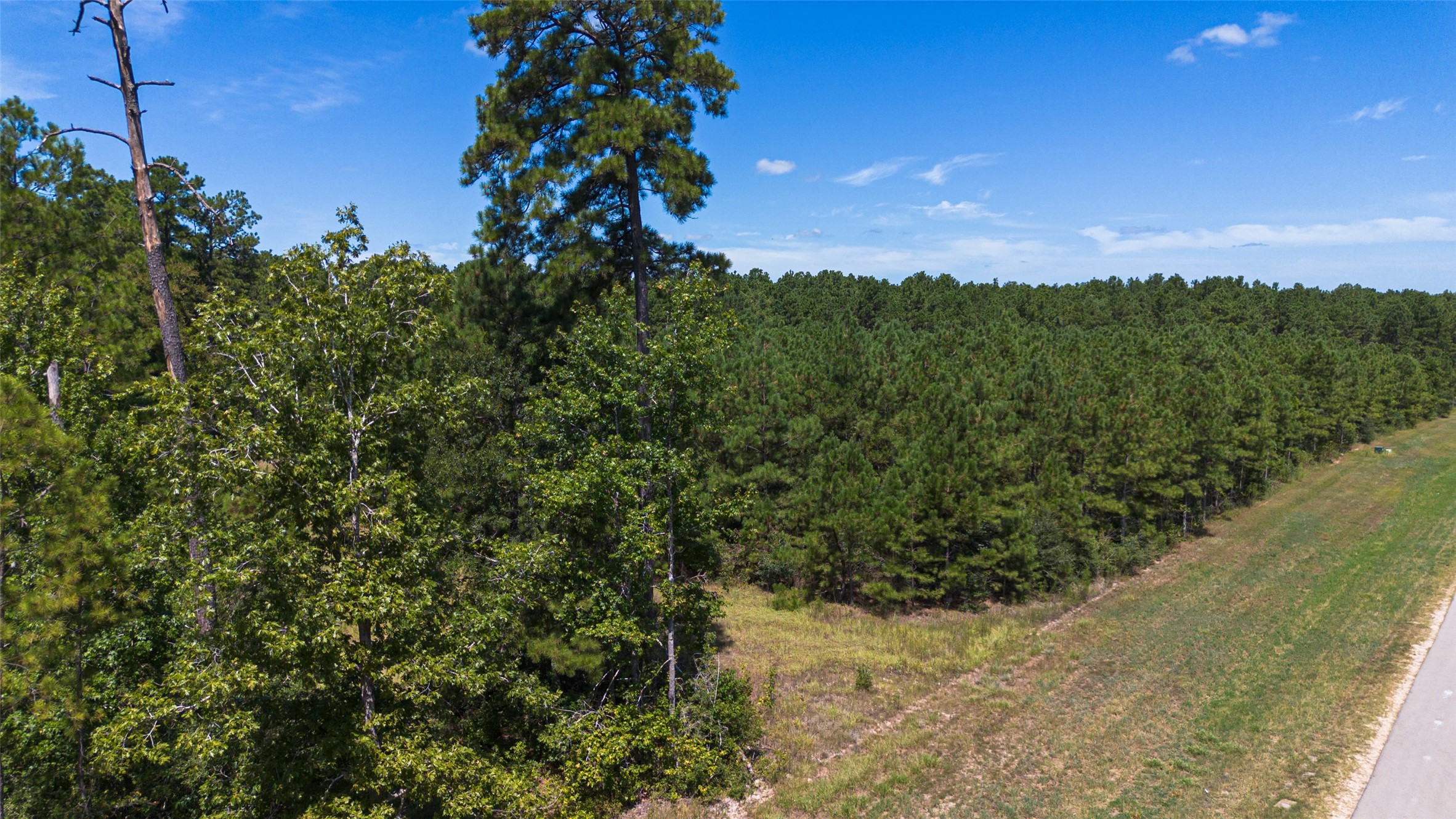 15881 Wood Grove Way Property Photo 10