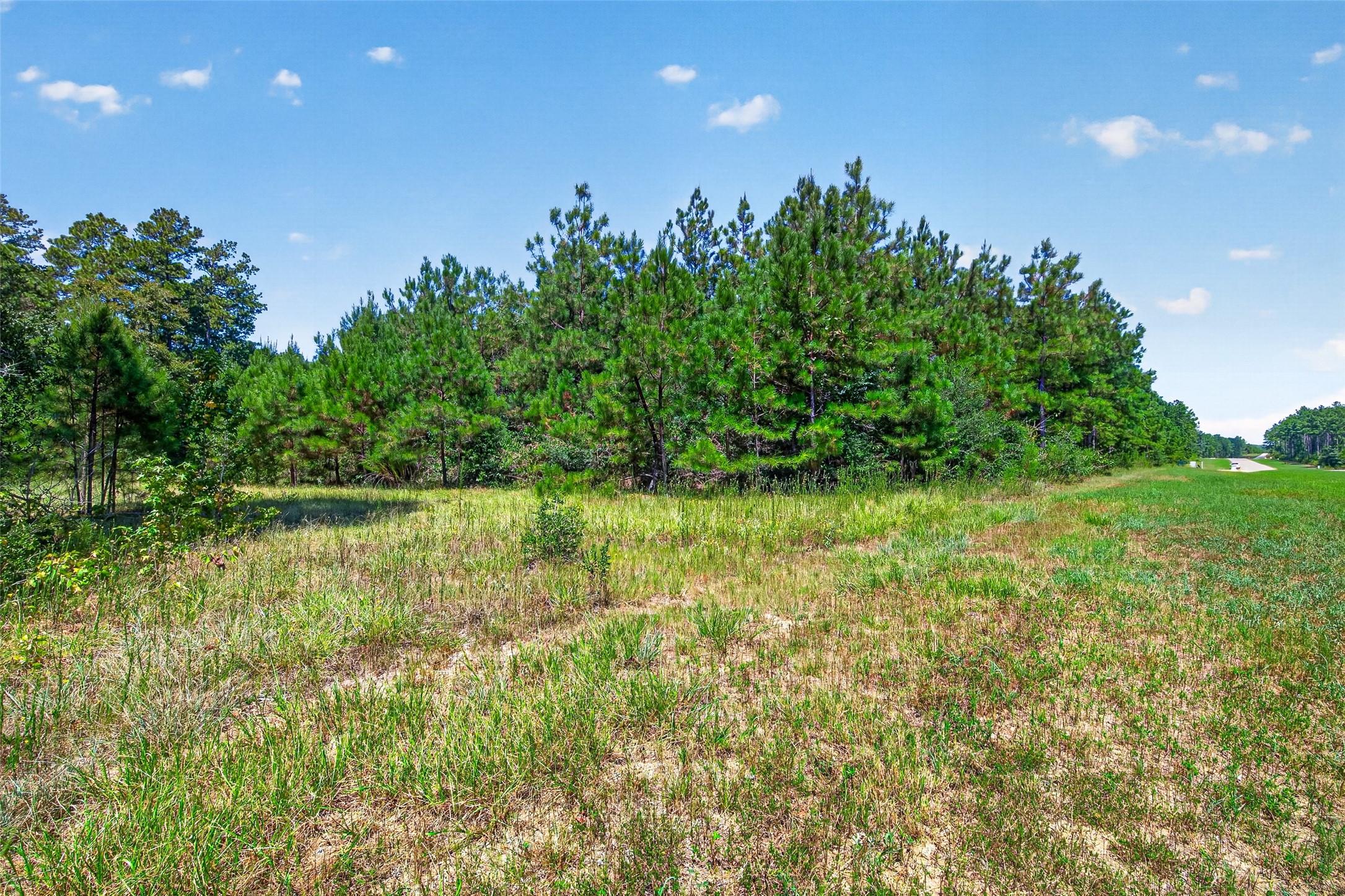 15881 Wood Grove Way Property Photo 11