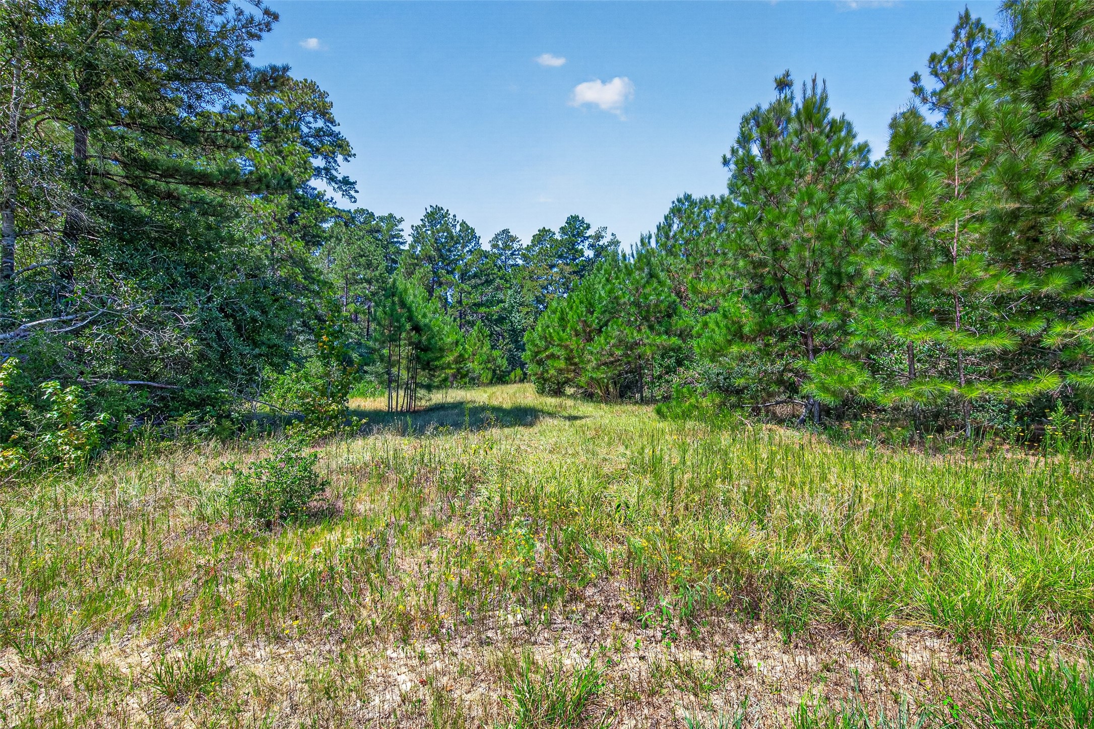 15881 Wood Grove Way Property Photo 12