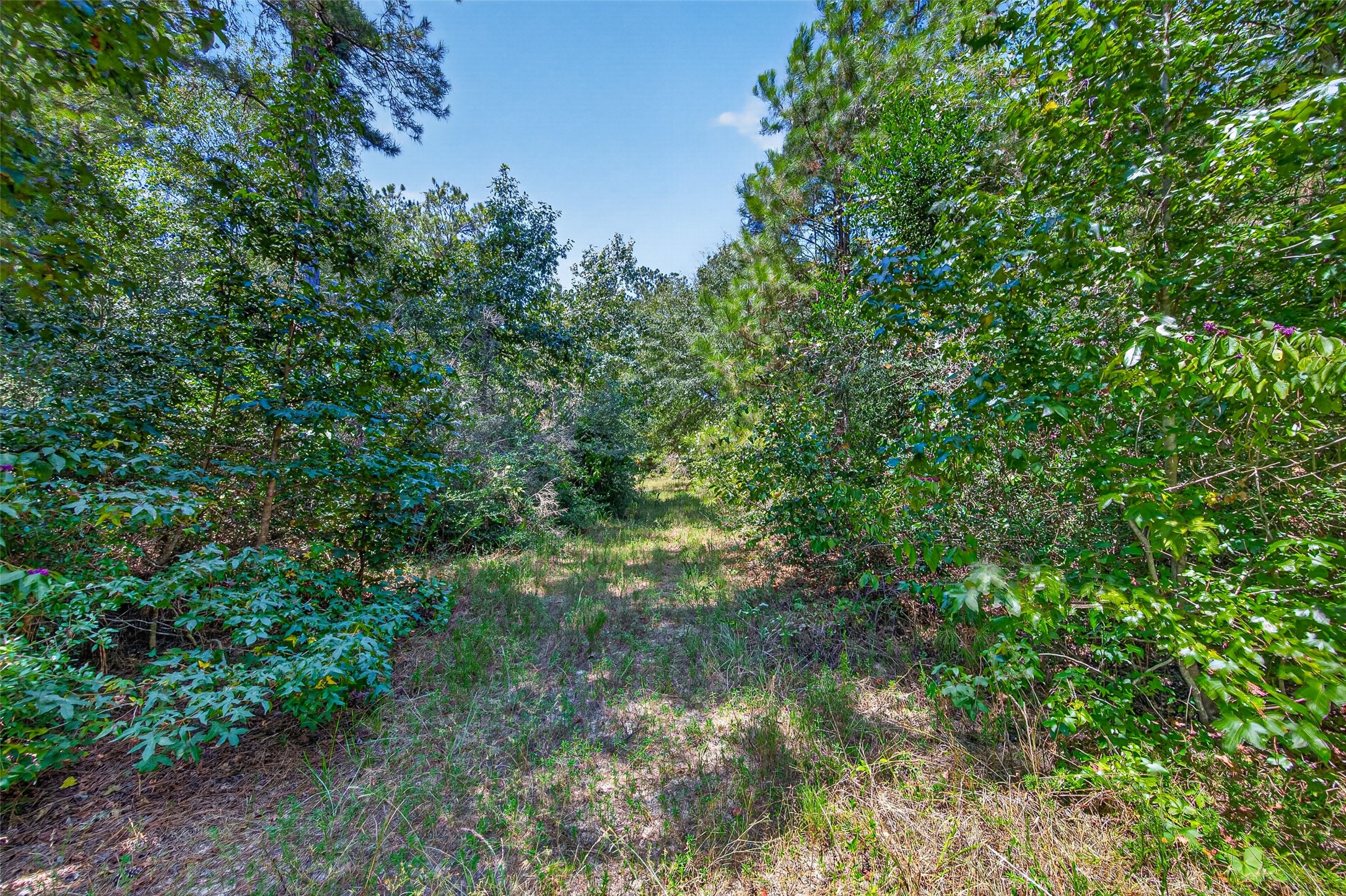 15881 Wood Grove Way Property Photo 13
