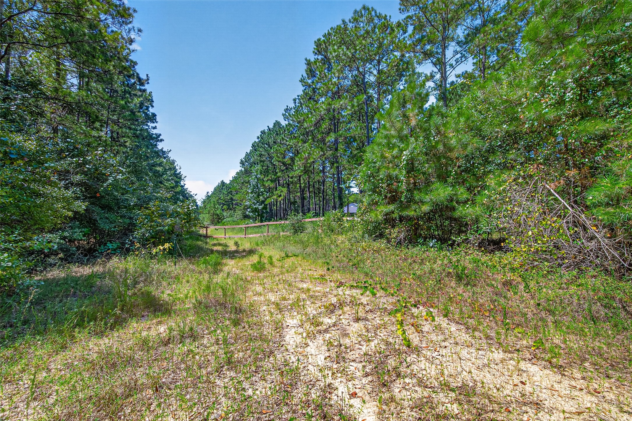 15881 Wood Grove Way Property Photo 15