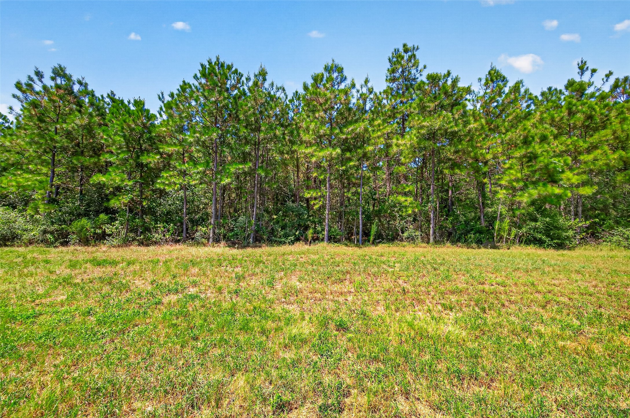 15881 Wood Grove Way Property Photo 19