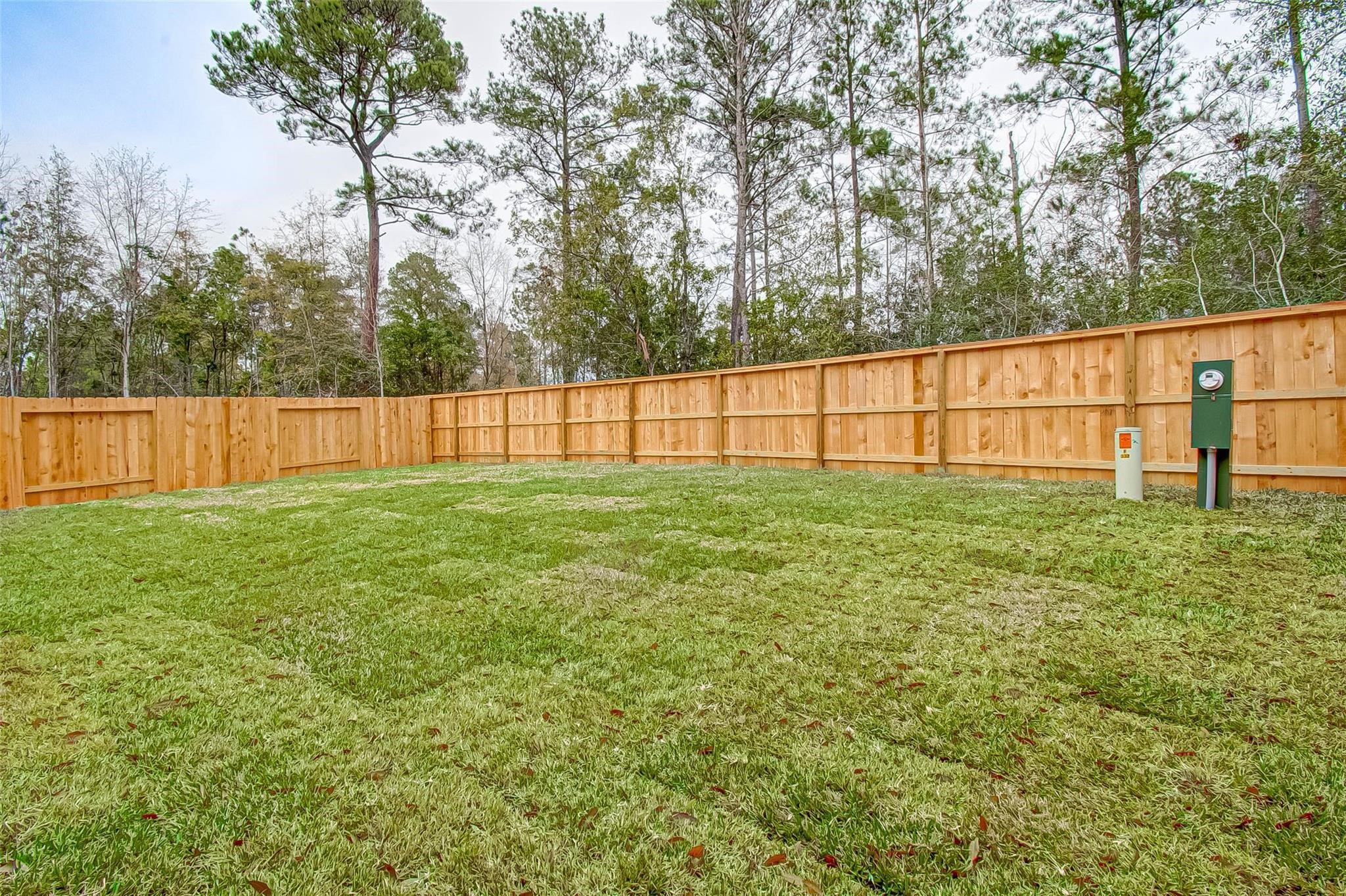 332 N Spotted Fern Drive Property Photo 14
