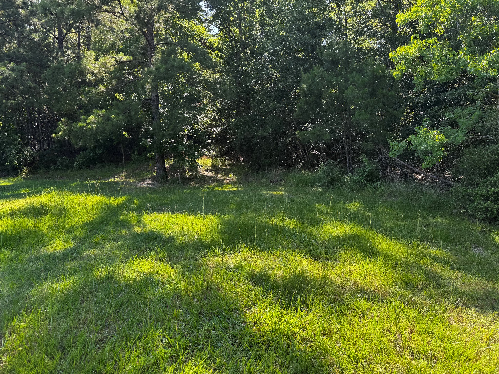 Tbd Whisperwood Lots 64,65,70 Property Photo 5