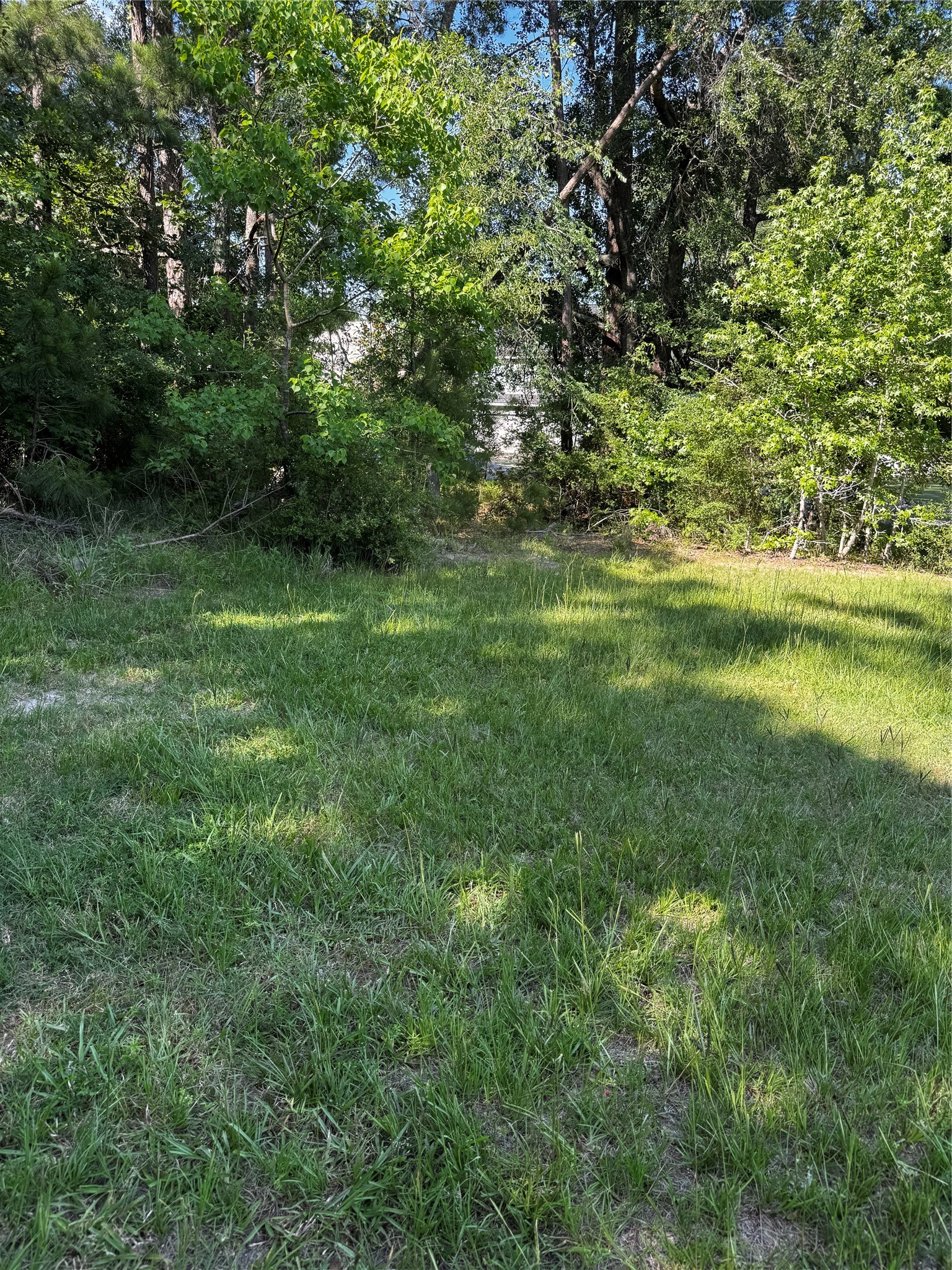 Tbd Whisperwood Lots 64,65,70 Property Photo 6