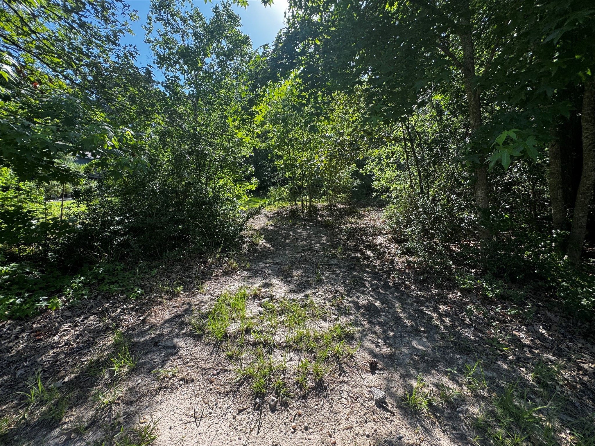 Tbd Whisperwood Lots 64,65,70 Property Photo 7