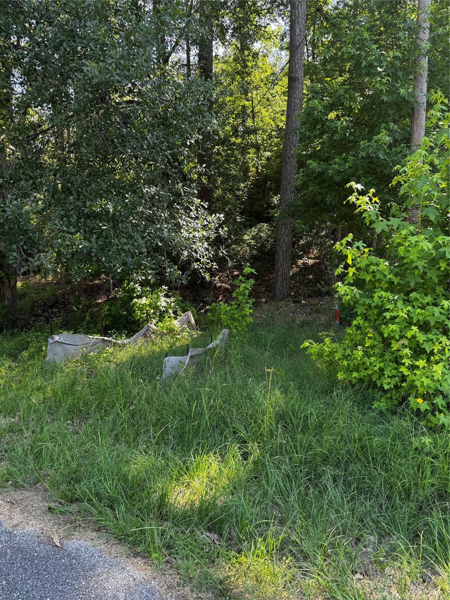 Tbd Whisperwood Lots 64,65,70 Property Photo 14