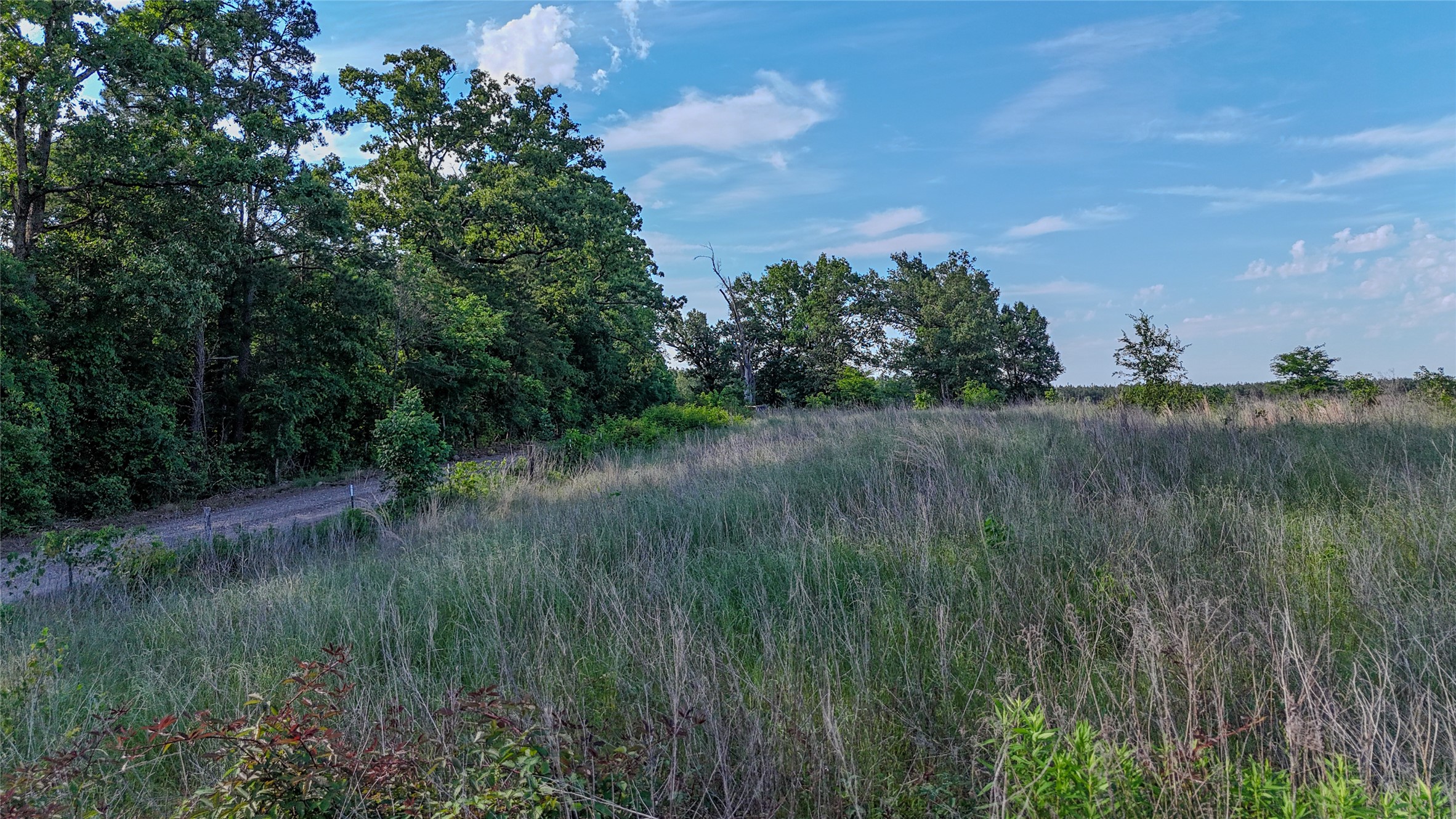 County Road 4621 Property Photo 4