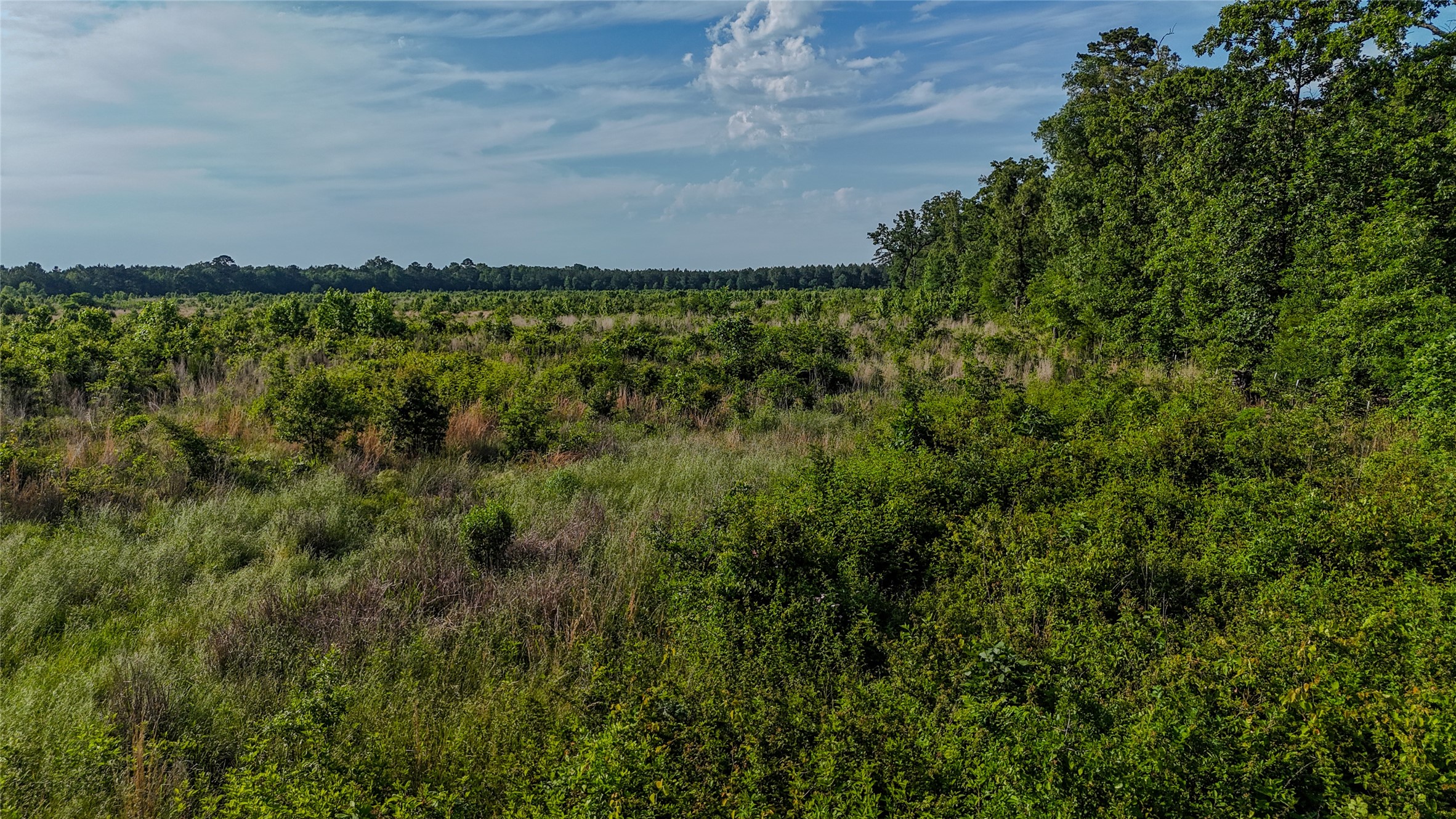 County Road 4621 Property Photo 6