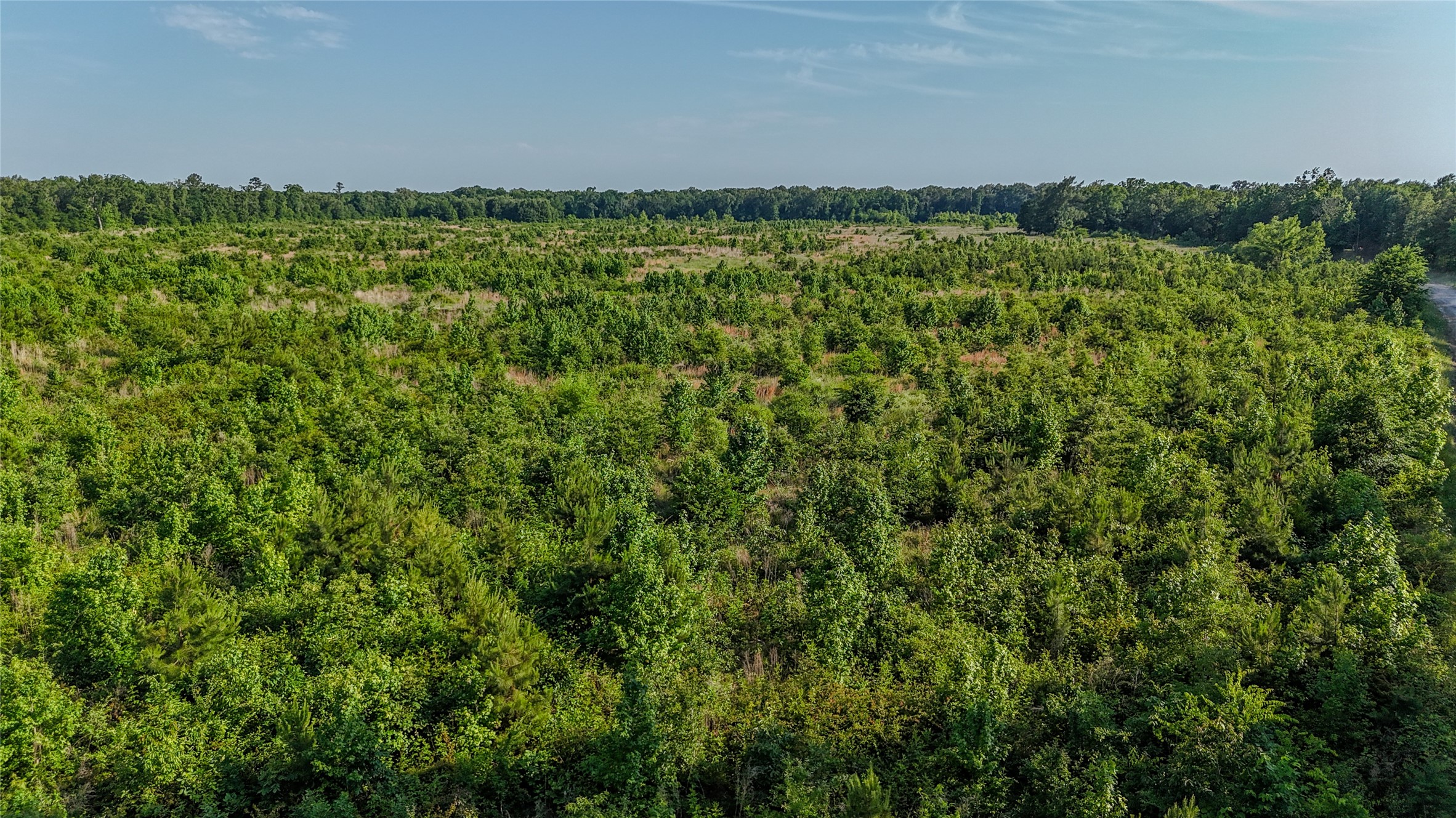 County Road 4621 Property Photo 12