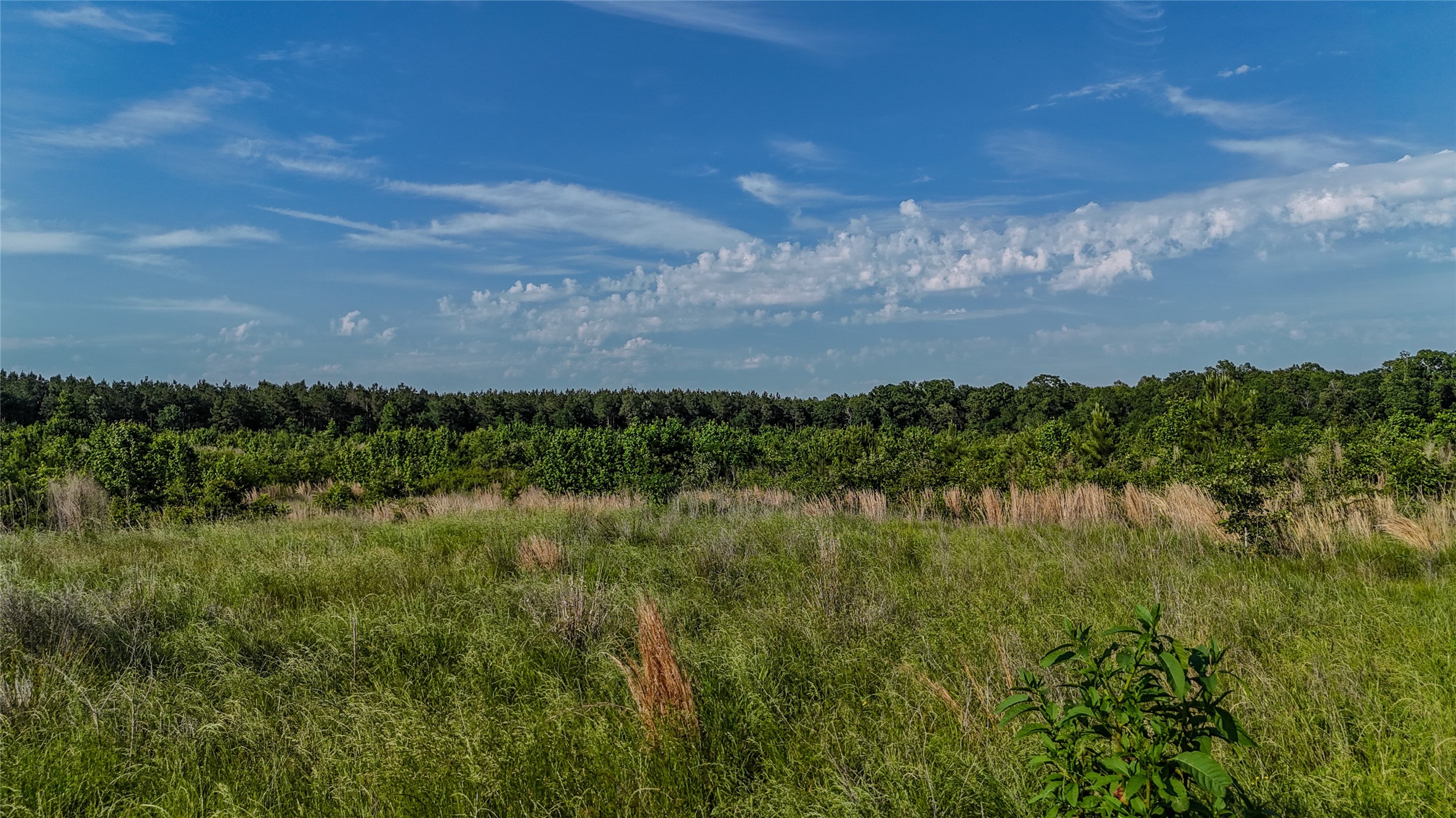 County Road 4621 Property Photo 13