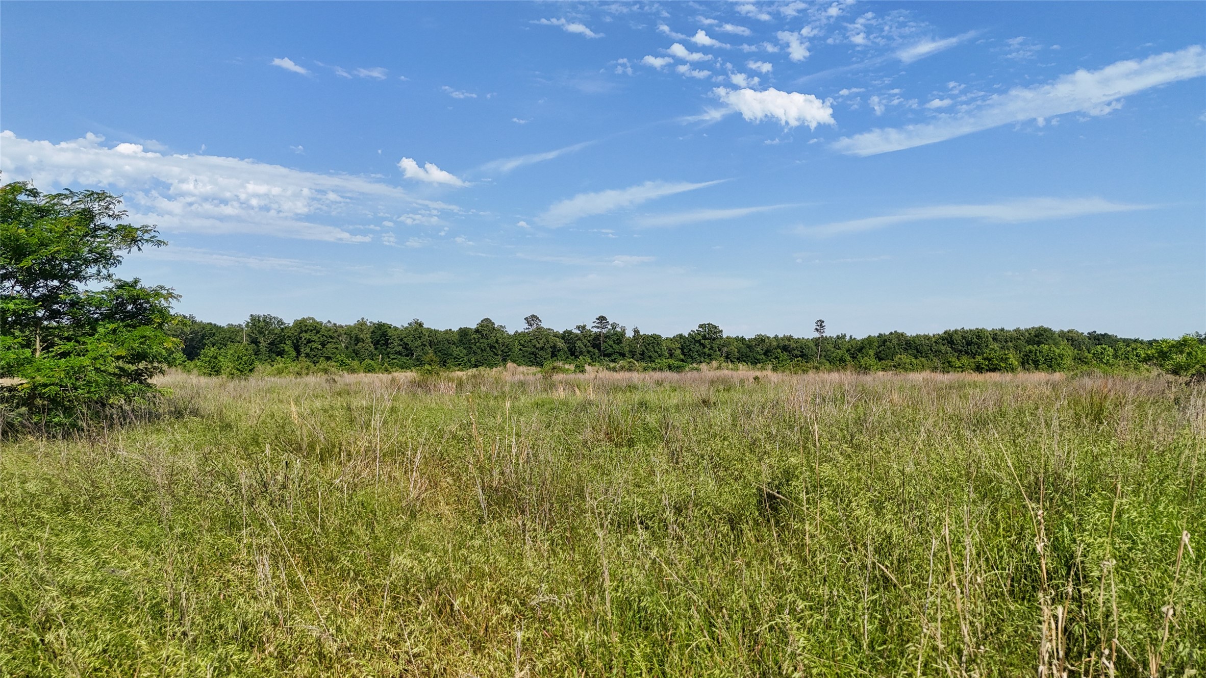 County Road 4621 Property Photo 15