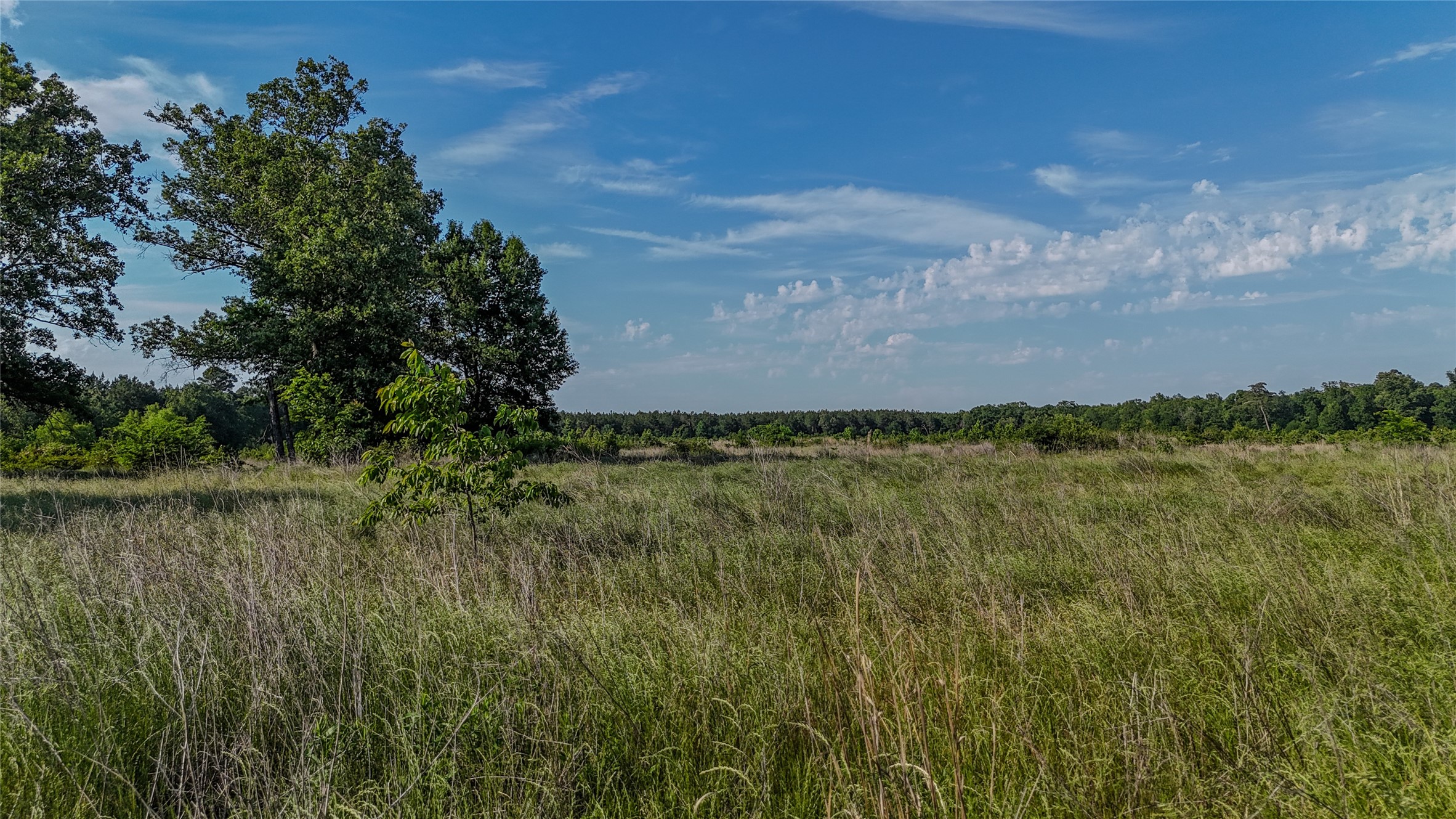 County Road 4621 Property Photo 16