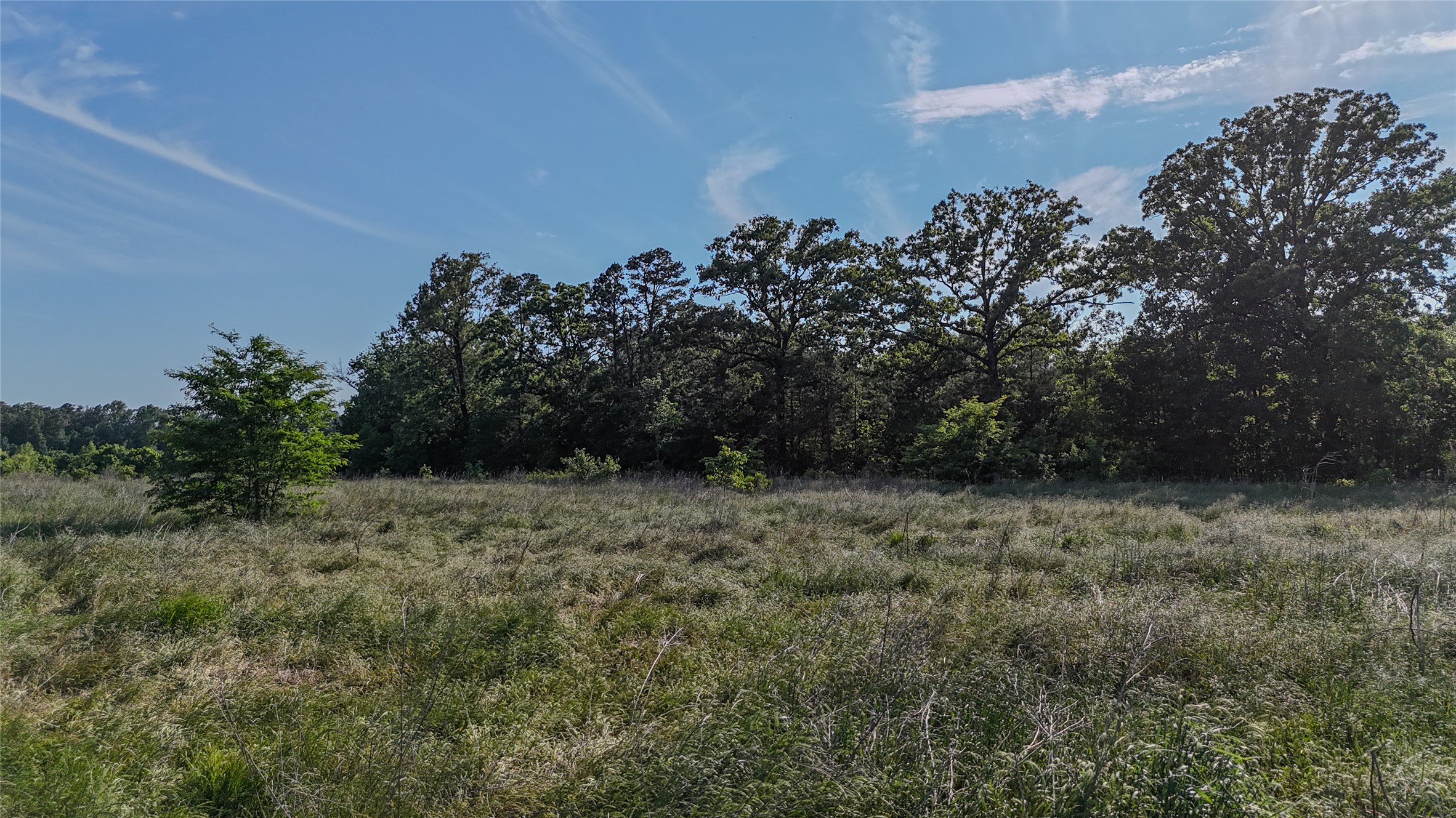 County Road 4621 Property Photo 21