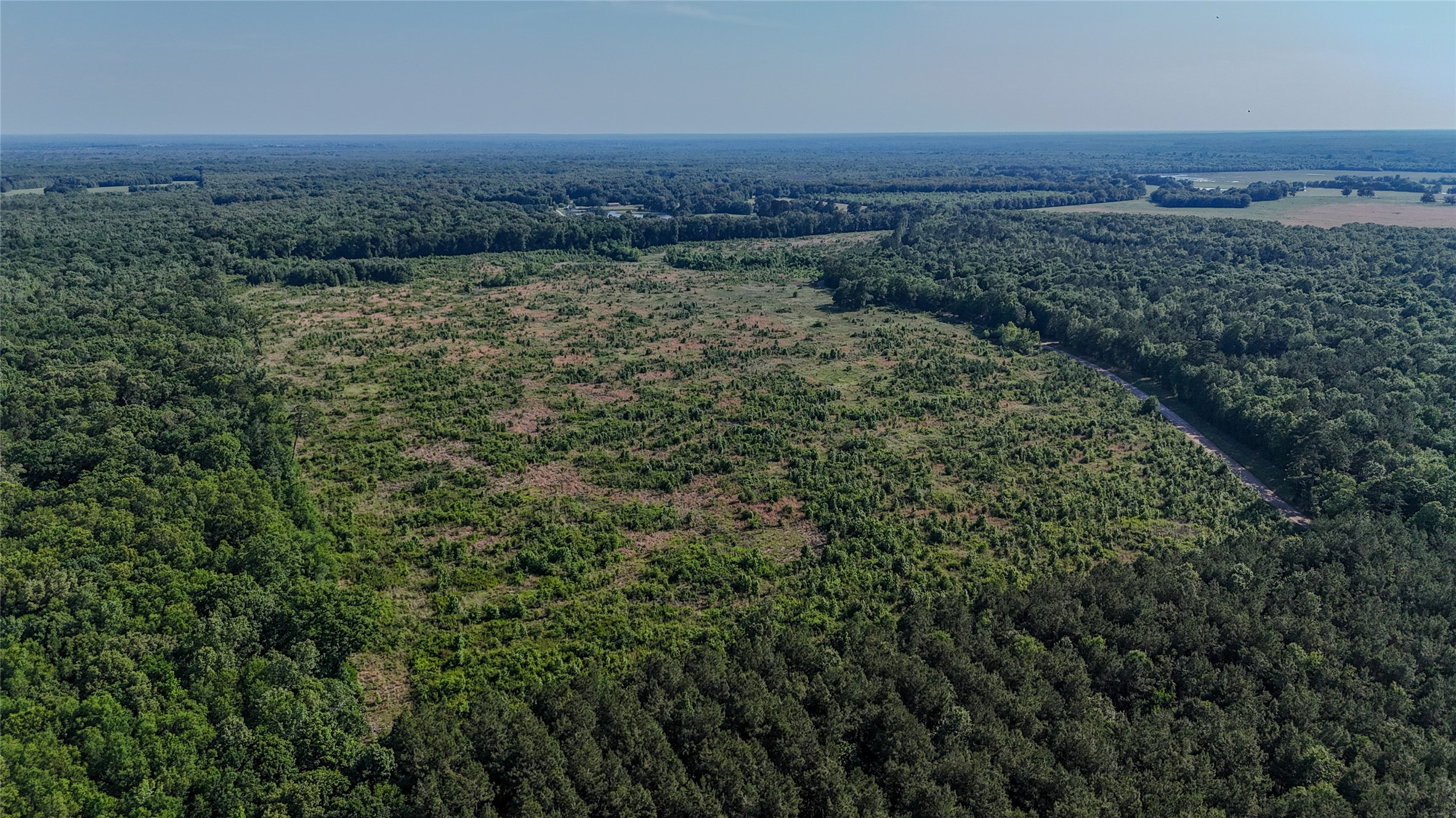 County Road 4621 Property Photo 22