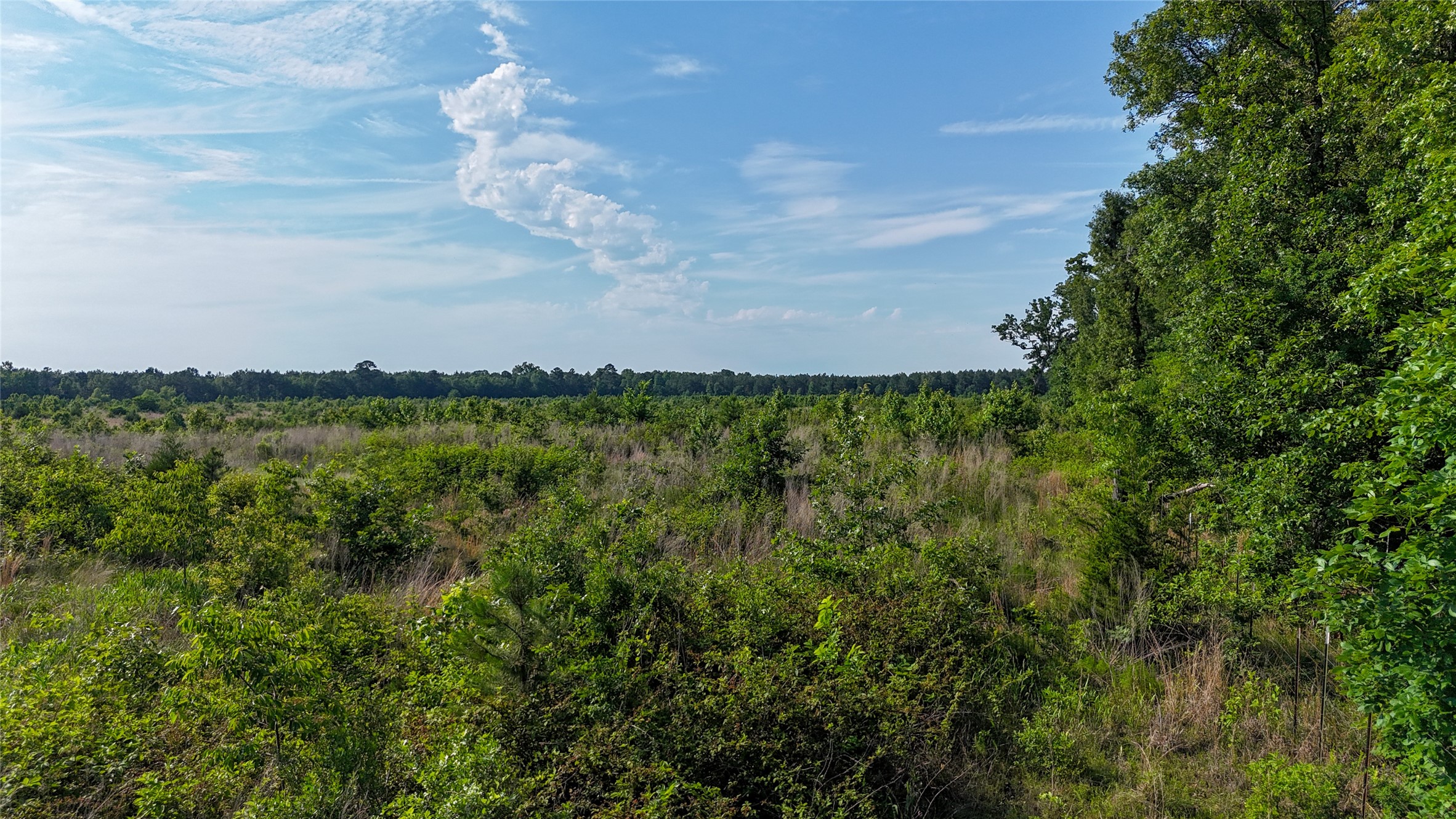County Road 4621 Property Photo 27