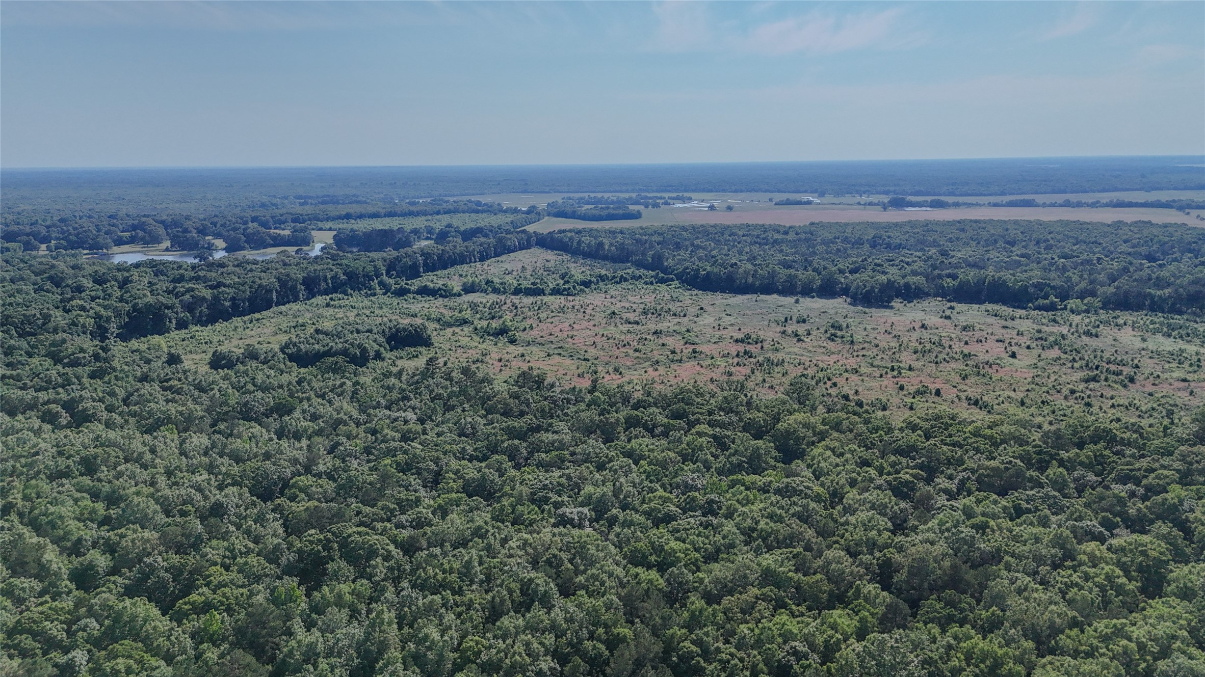 County Road 4621 Property Photo 31