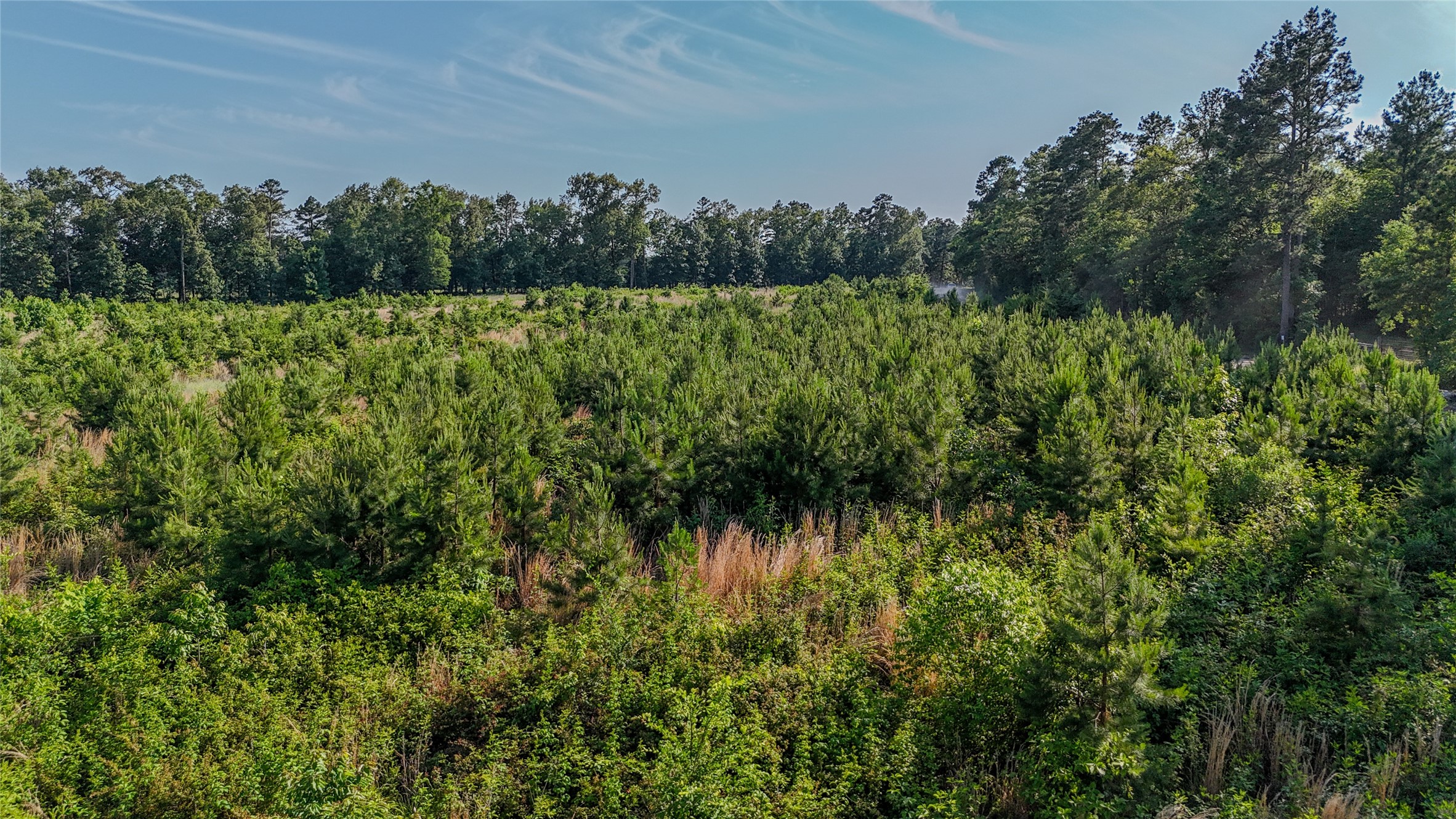 County Road 4621 Property Photo 34