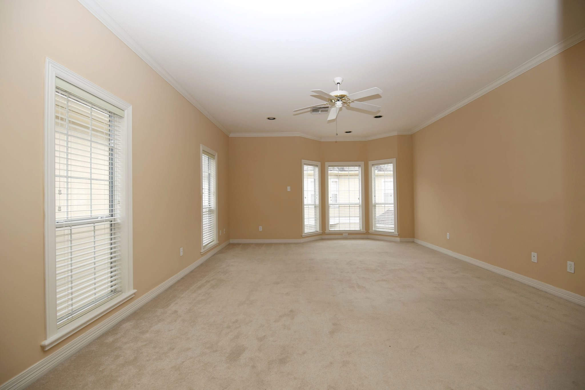 4242 Jack Property Photo 18