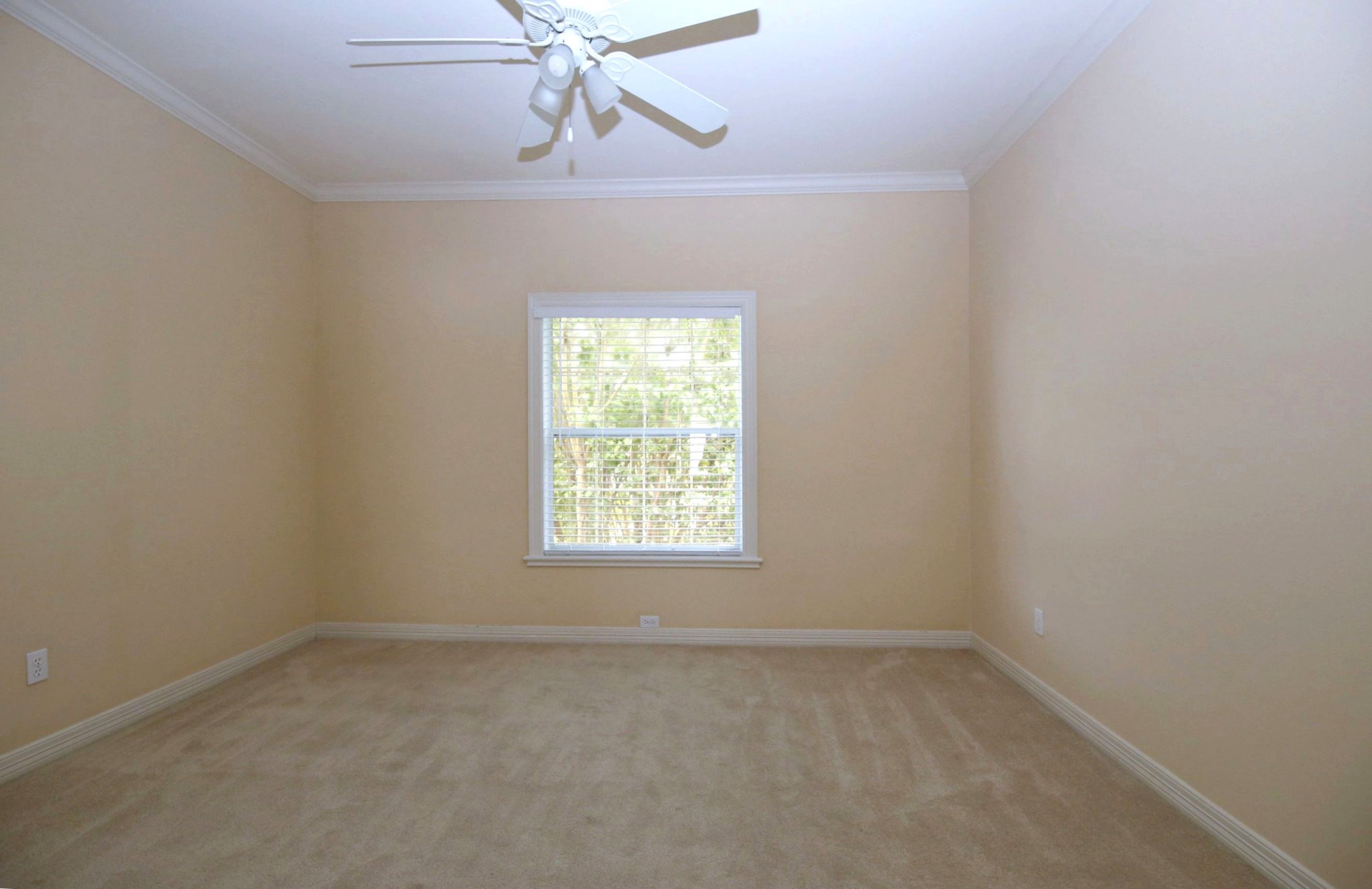 4242 Jack Property Photo 25