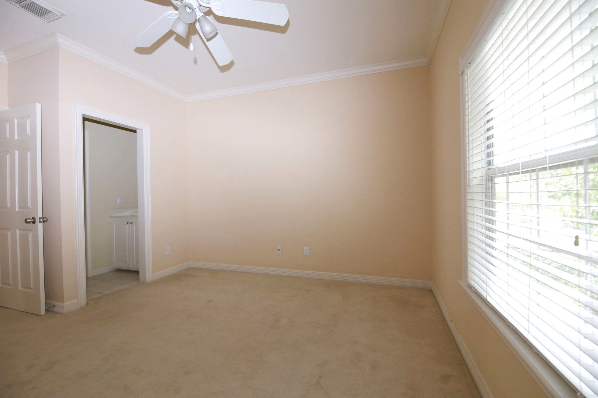 4242 Jack Property Photo 26