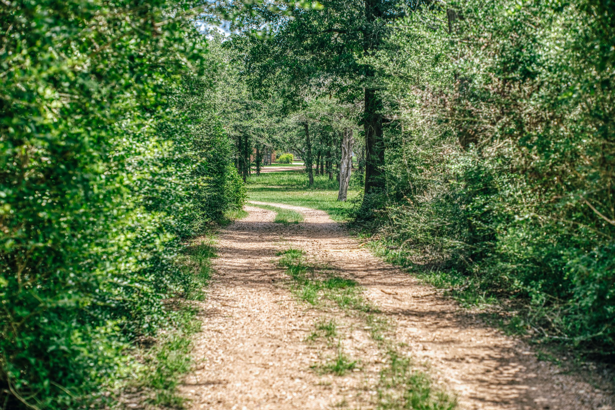 3301 Round Top Road Property Photo 15