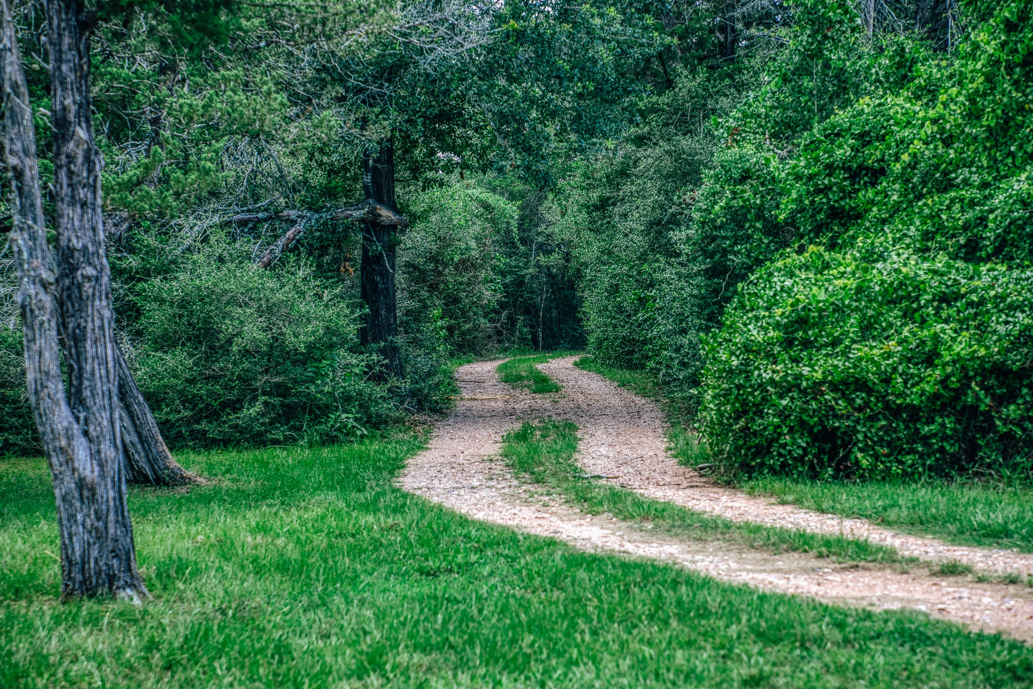3301 Round Top Road Property Photo 16