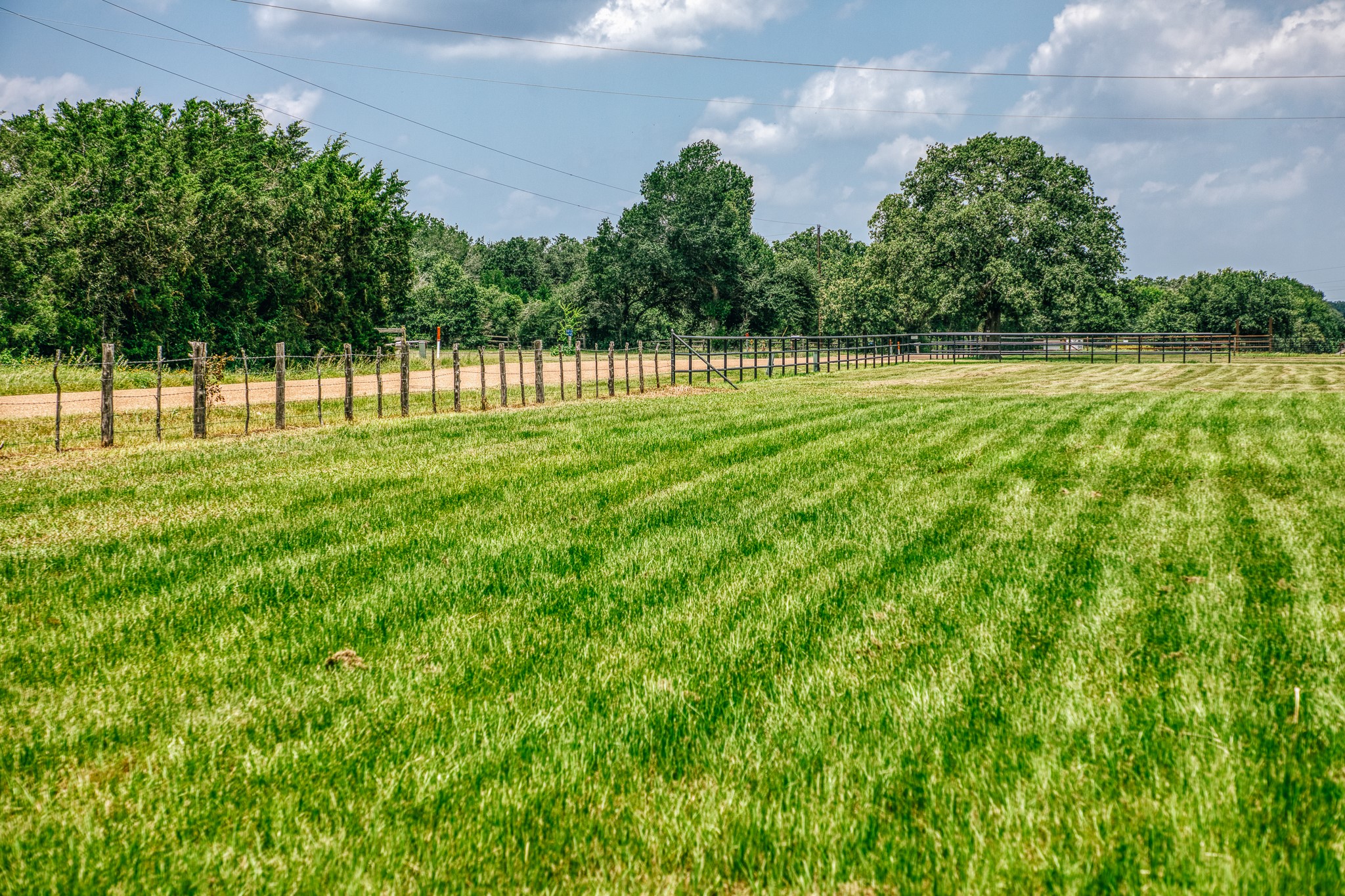 3301 Round Top Road Property Photo 17