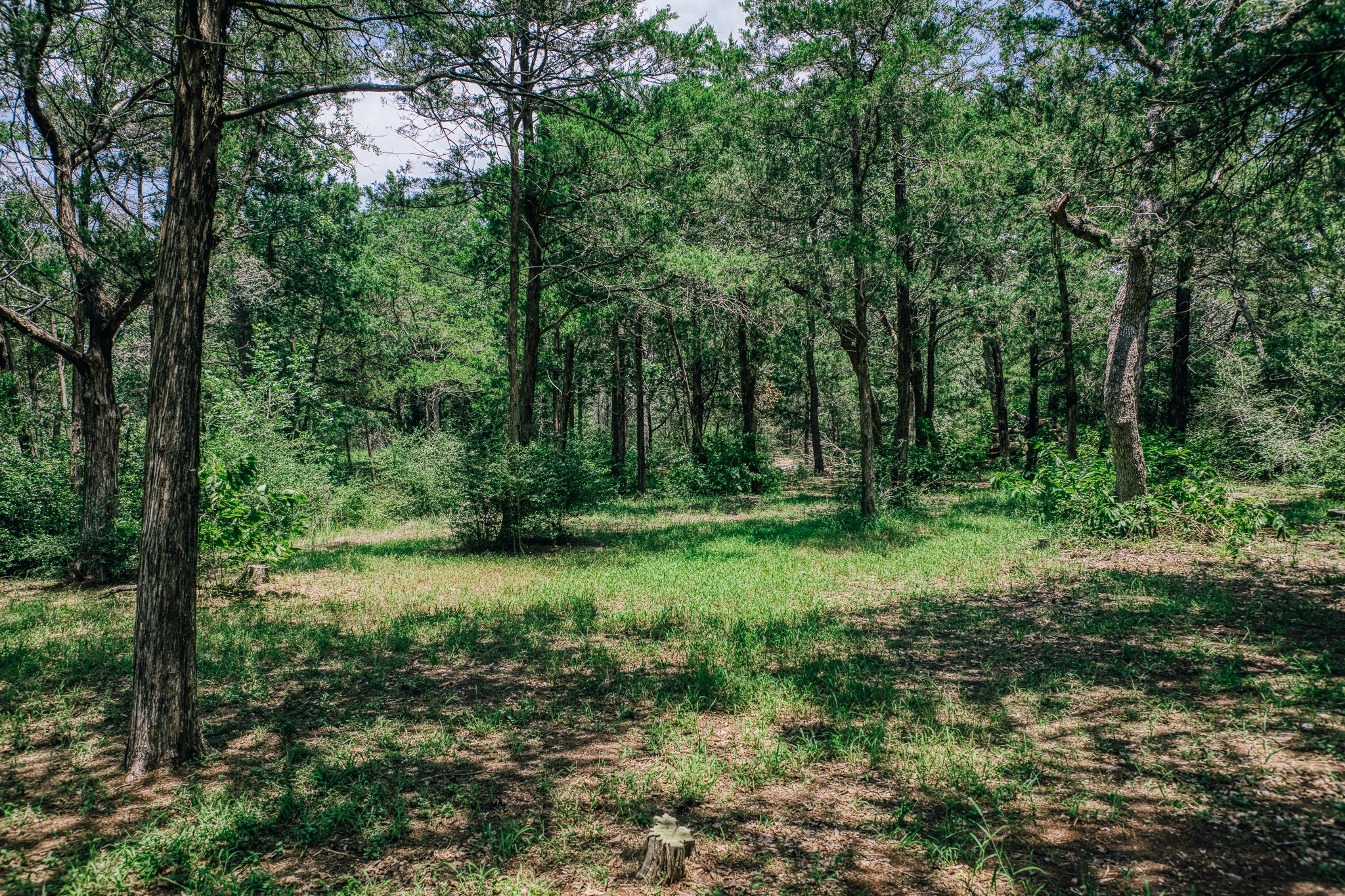 3301 Round Top Road Property Photo 22