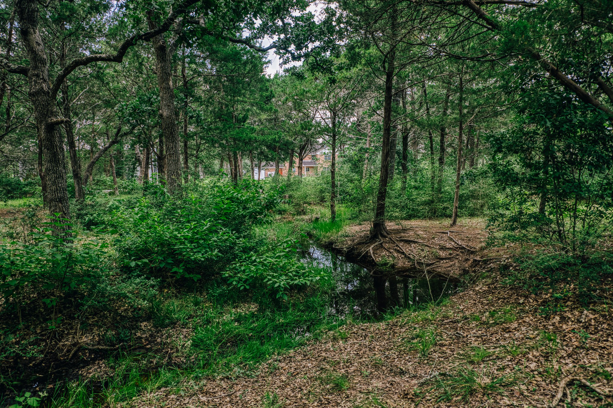 3301 Round Top Road Property Photo 24