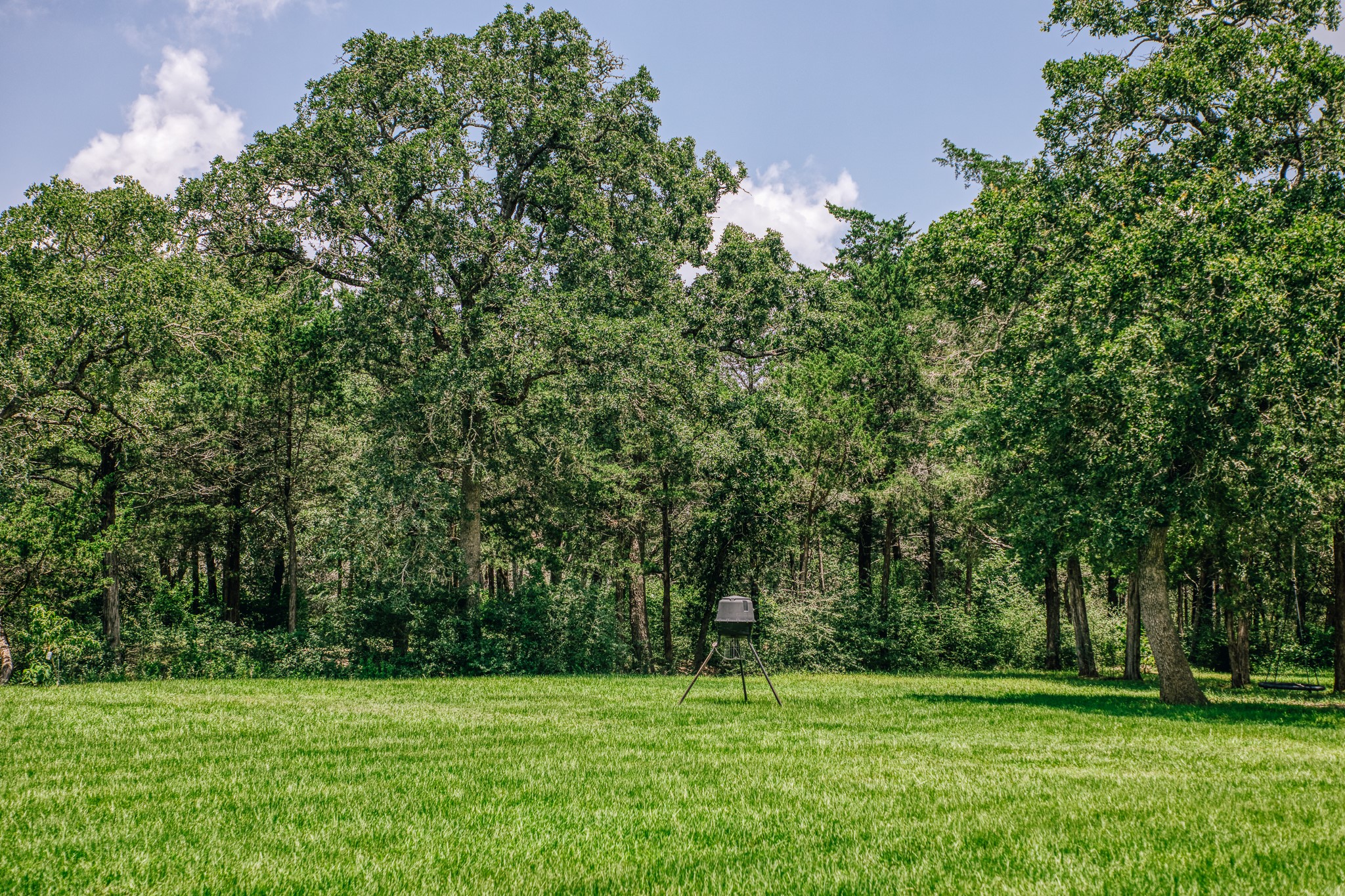 3301 Round Top Road Property Photo 25