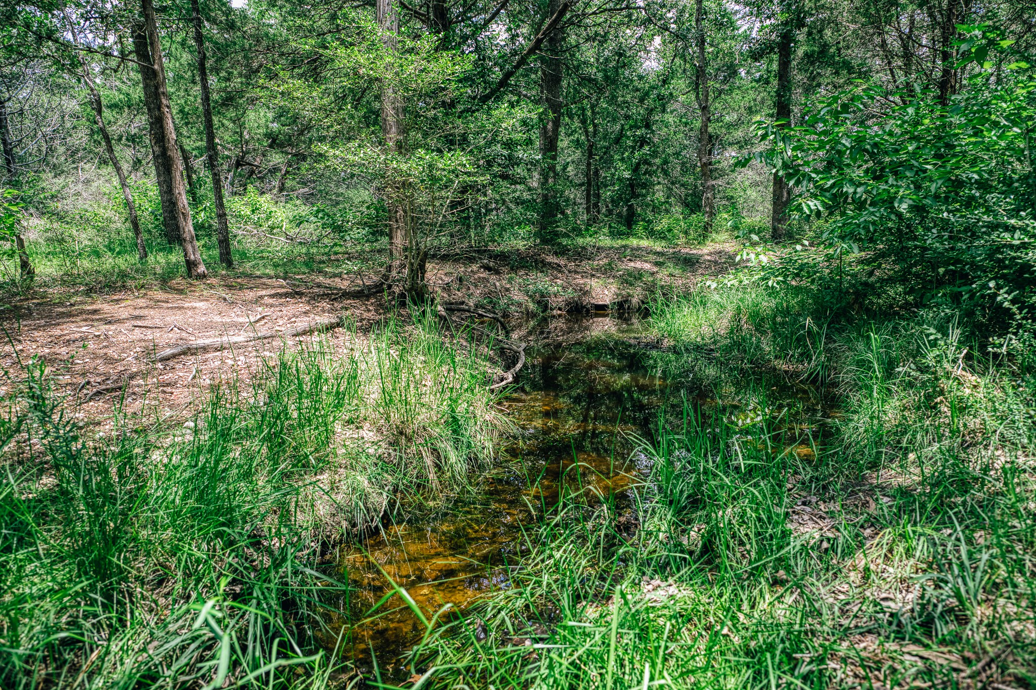 3301 Round Top Road Property Photo 26