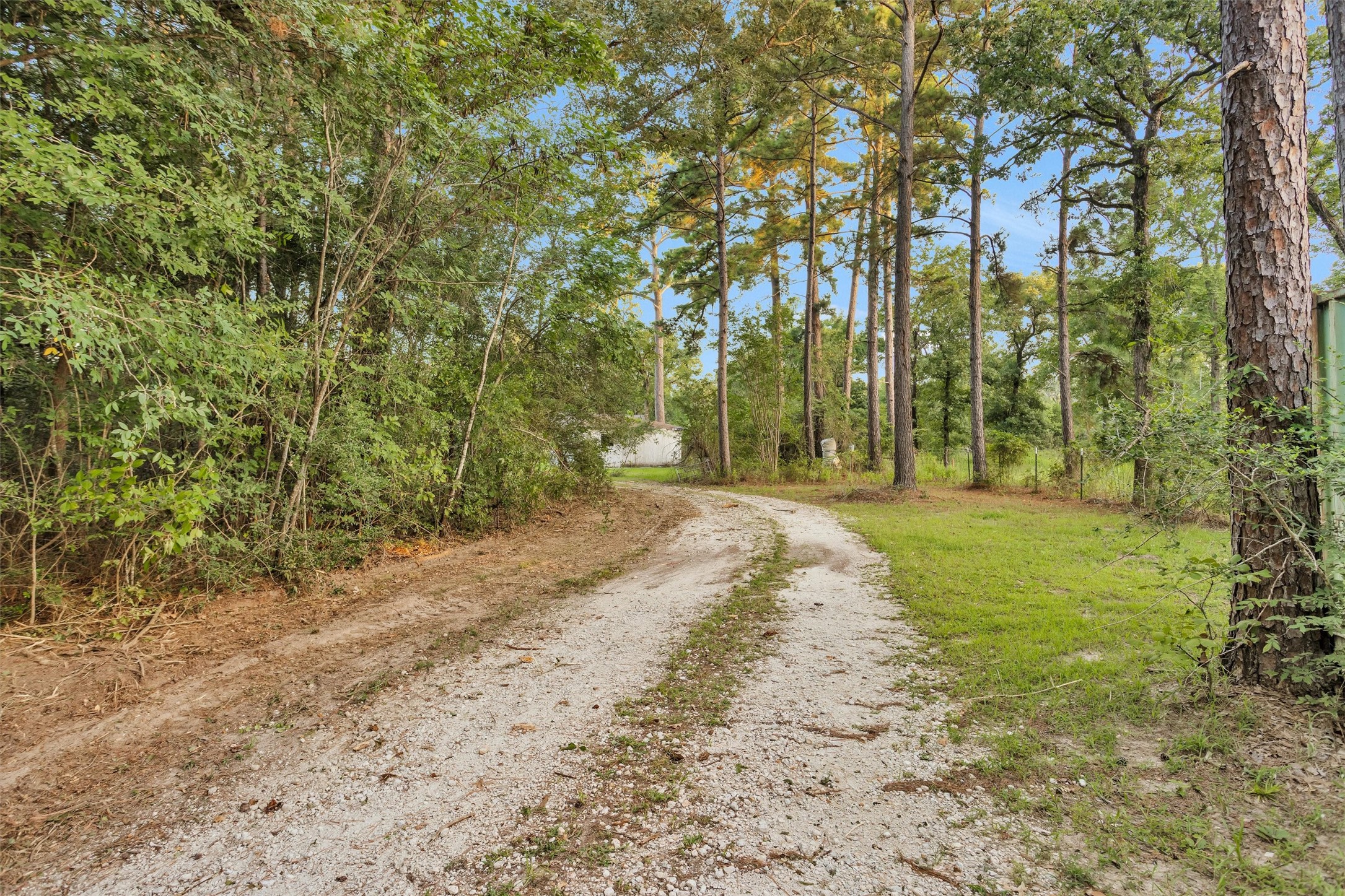 943 Fm 2989 Property Photo 4