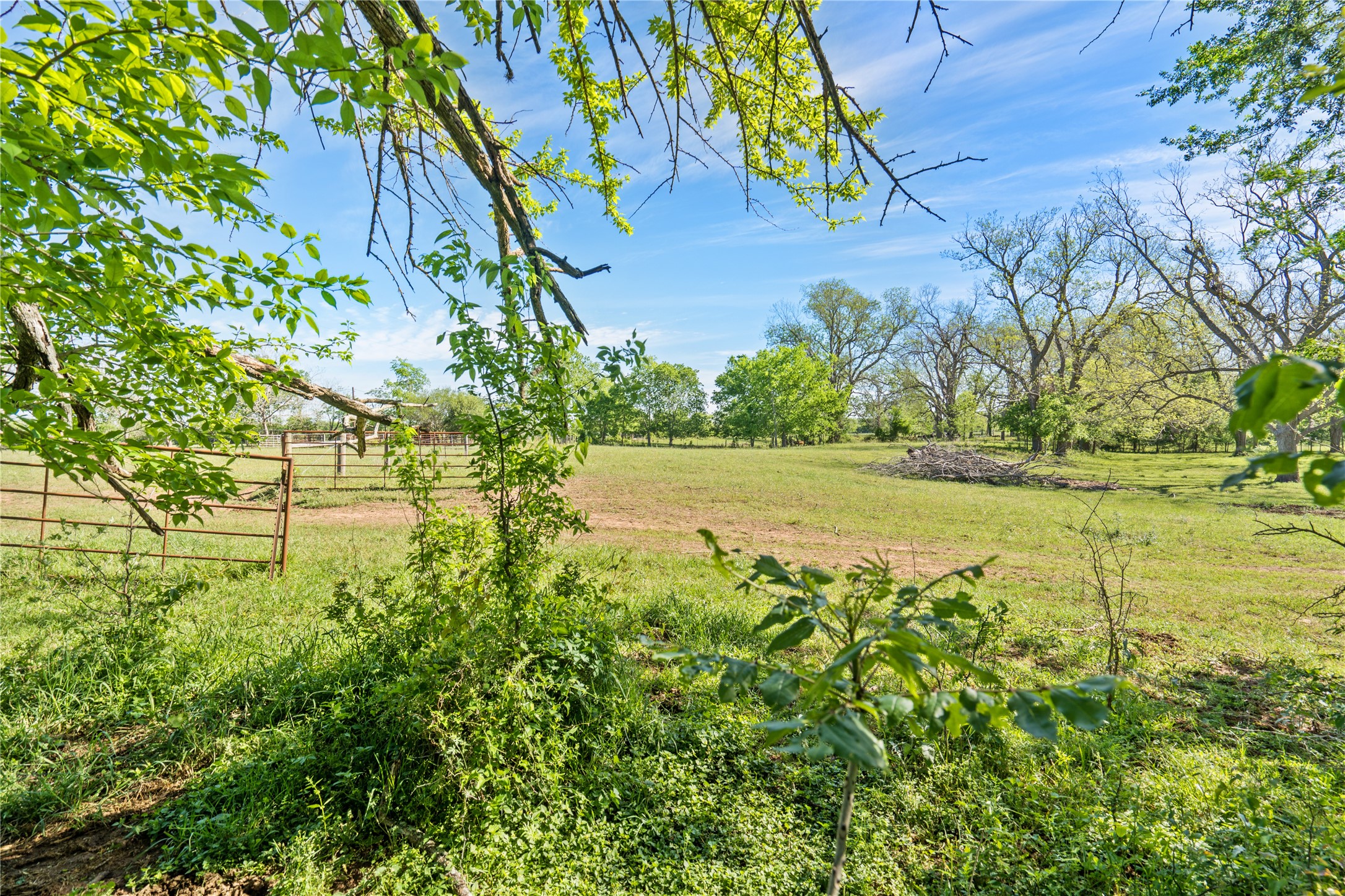6504 Viereck Road Property Photo 1