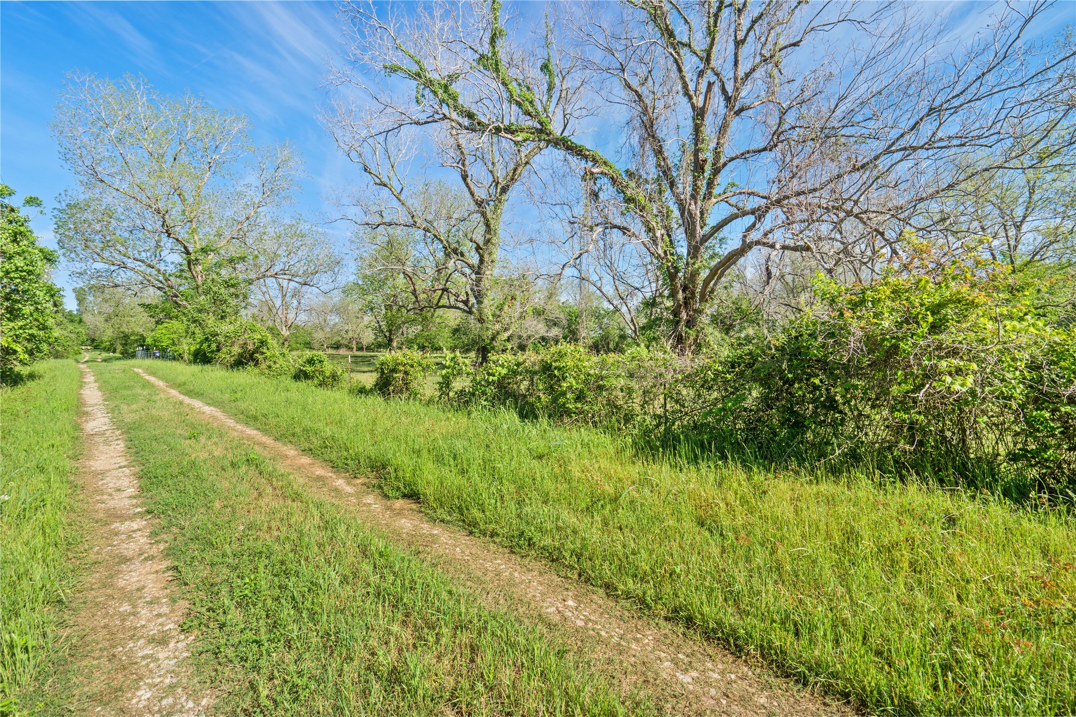 6504 Viereck Road Property Photo 3