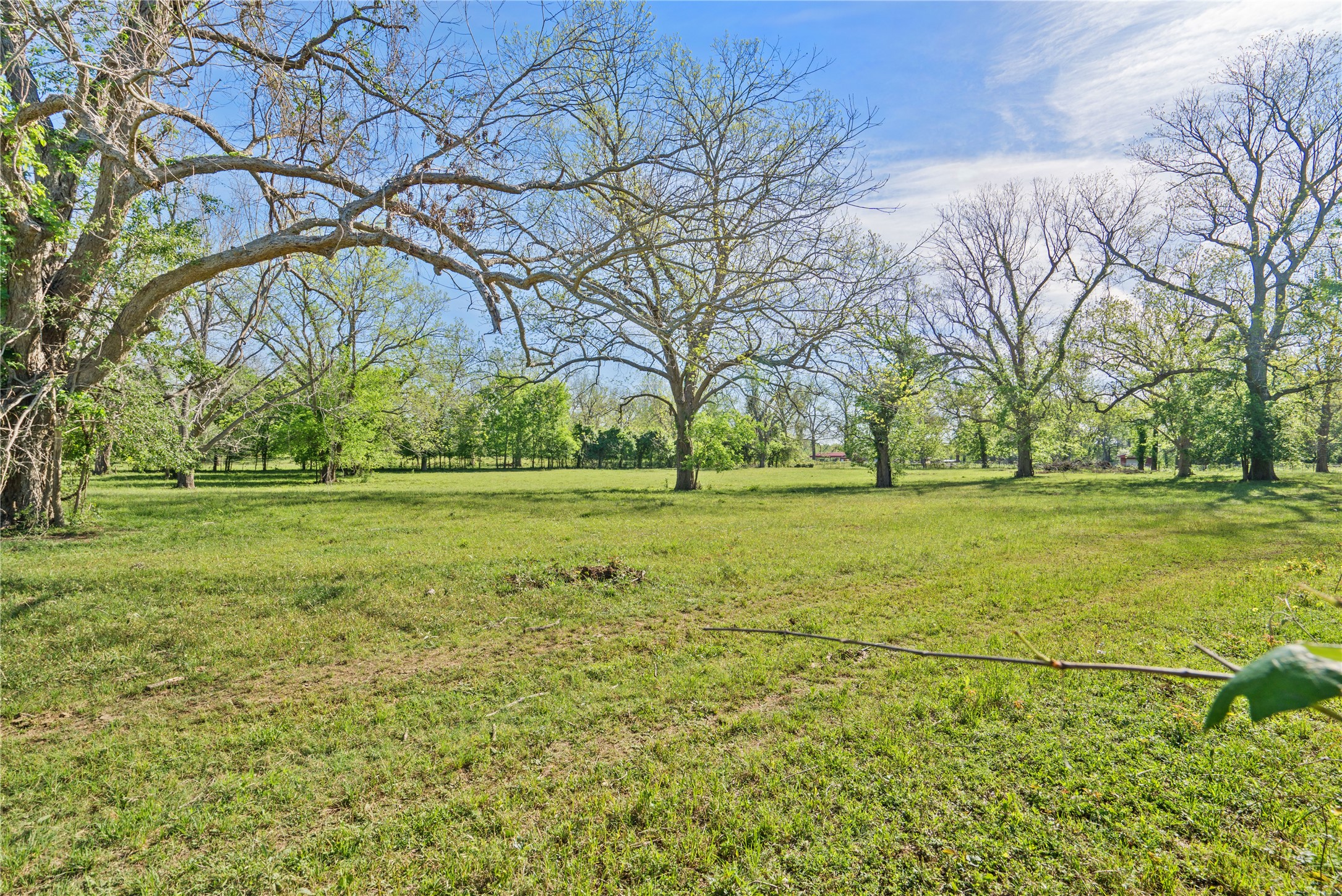 6504 Viereck Road Property Photo 4