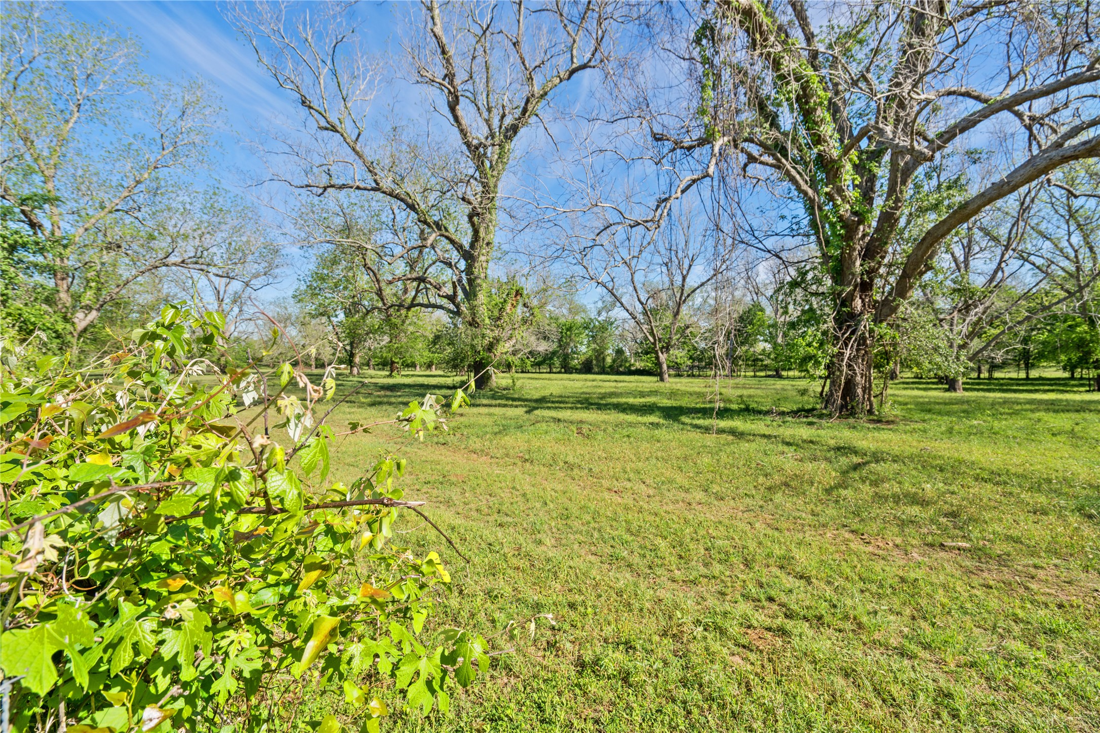 6504 Viereck Road Property Photo 5