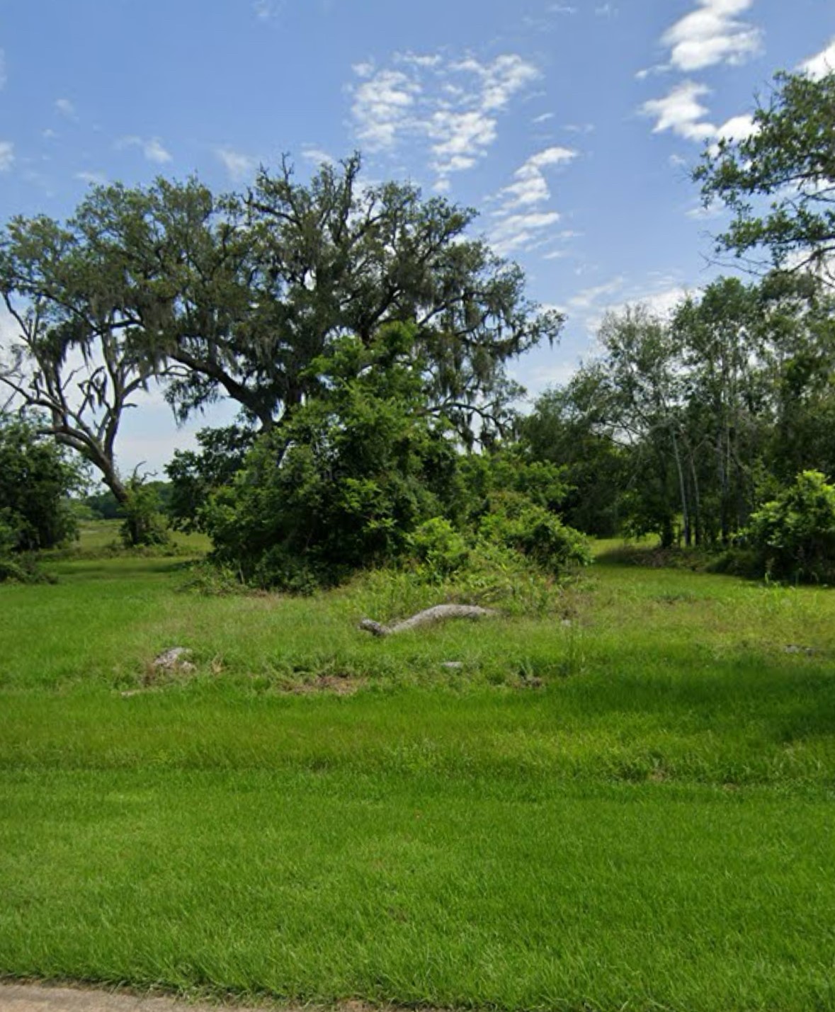0 Turning Bayou Trail Property Photo