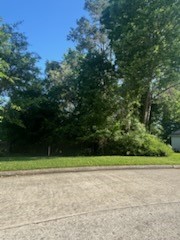 3824 Mystic Circle Property Photo 1