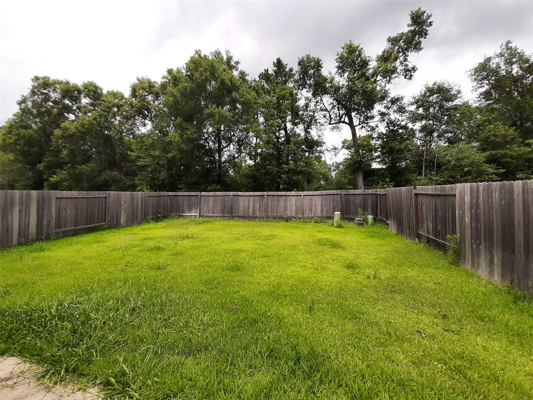 911 Cobalt Crest Lane Property Photo 11
