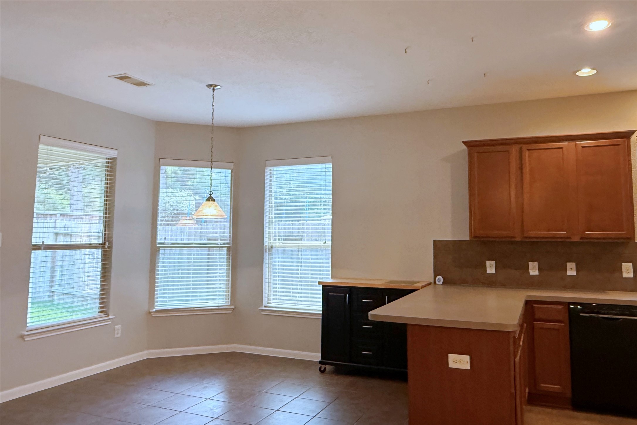 14706 Palladio Drive Property Photo 15